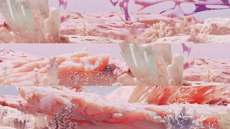 生命花园·芬芳季风 - cdf三亚国际免税城裸眼3D交互影像 / 某集体MOUJITI ART+TECH