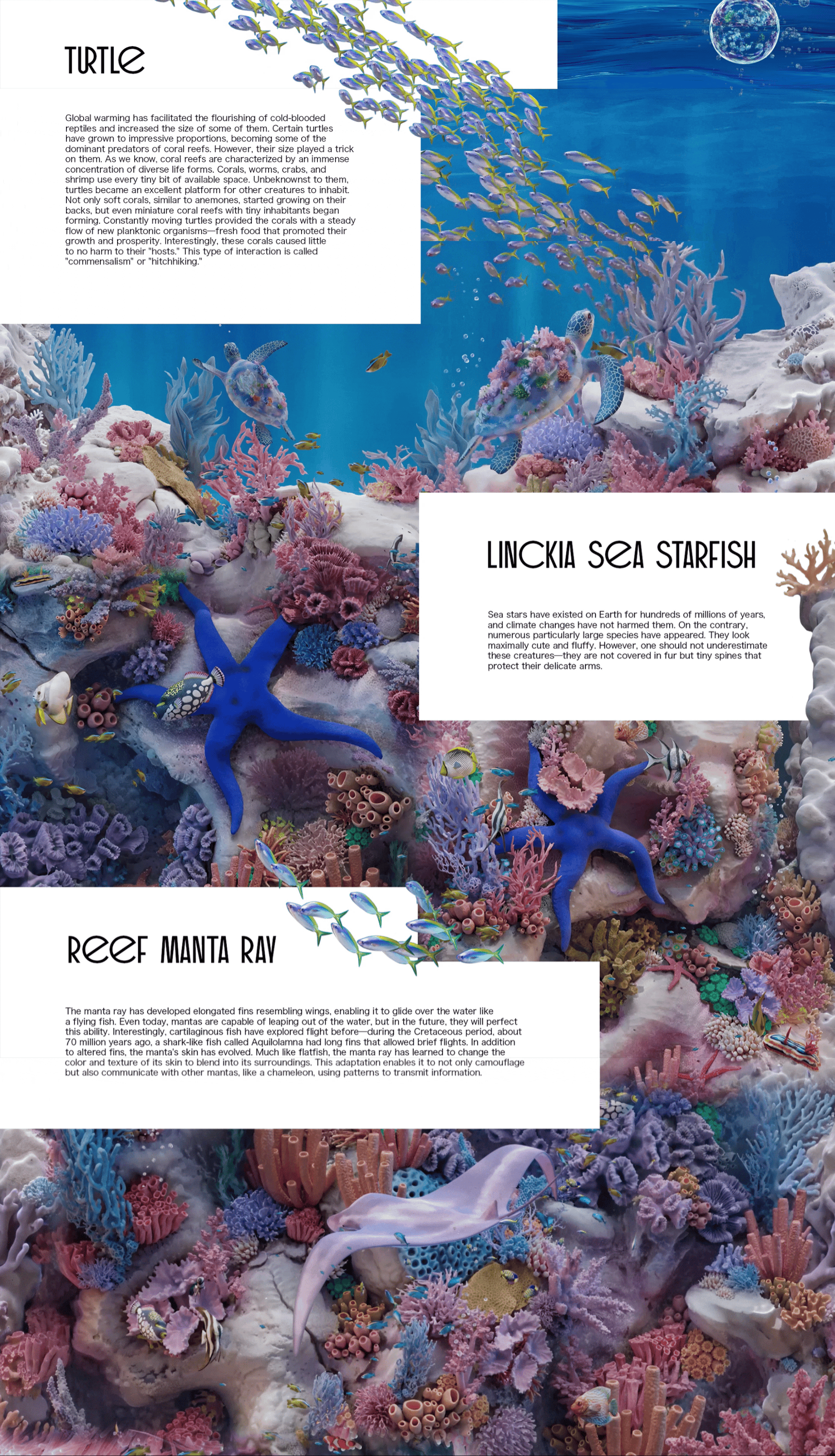 Wonders of the Sea海洋奇观：菲律宾水下世界数百万年后的生物演化与生态畅想 / Radugadesign