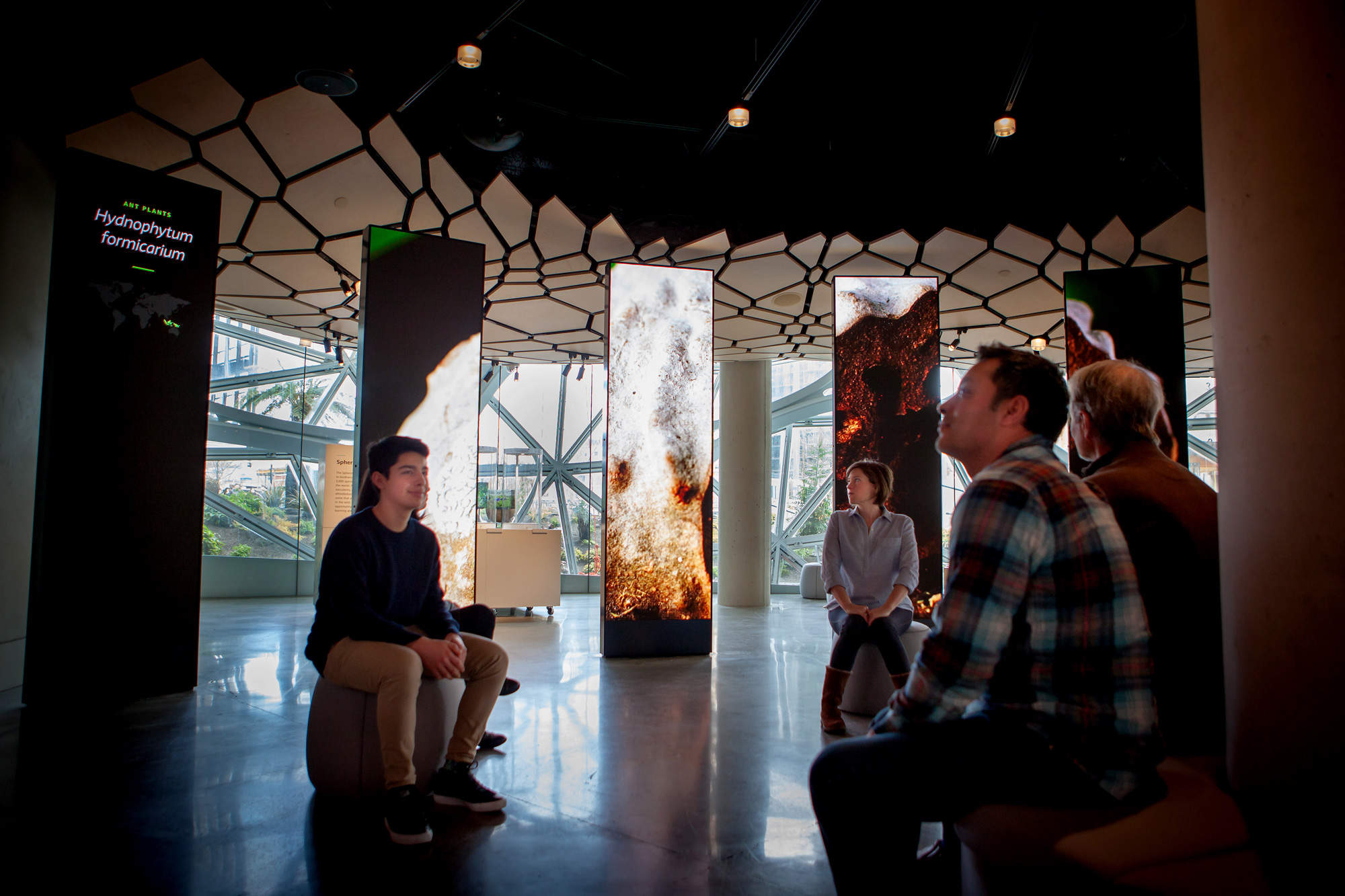 美国西雅图亚马逊总部Understory展厅 / Graham Baba Architects