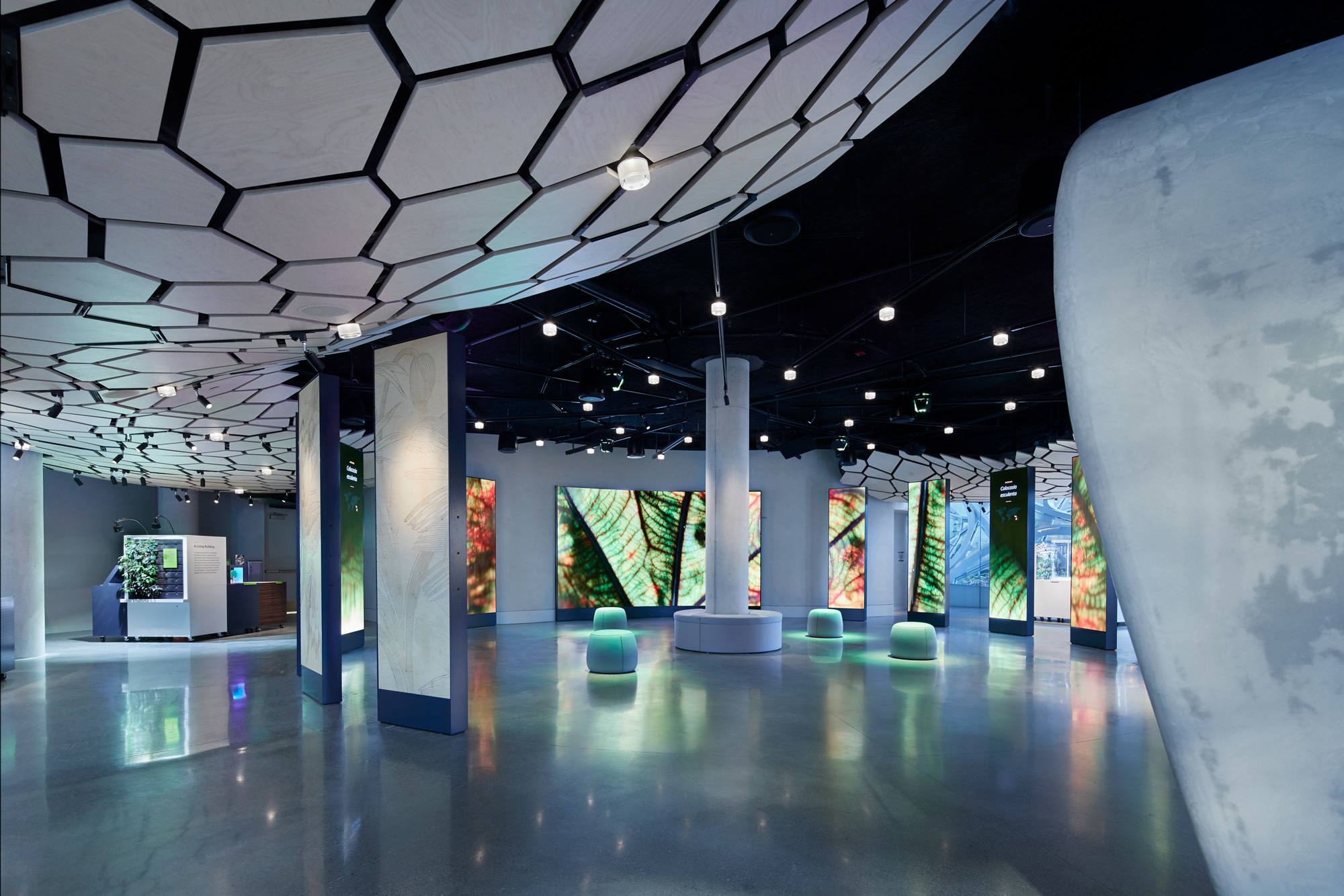 美国西雅图亚马逊总部Understory展厅 / Graham Baba Architects