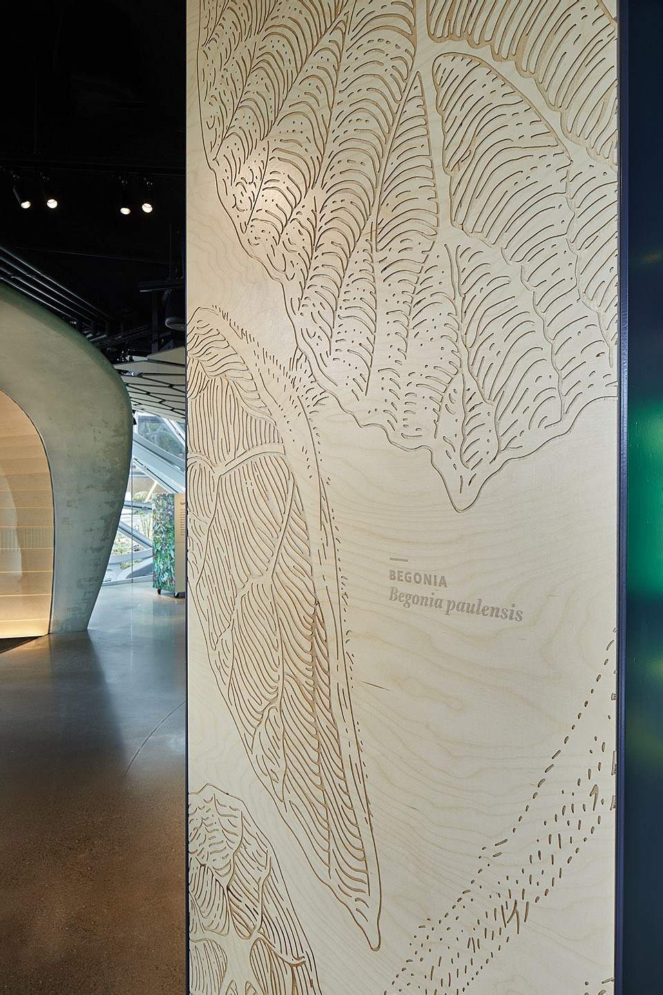 美国西雅图亚马逊总部Understory展厅 / Graham Baba Architects