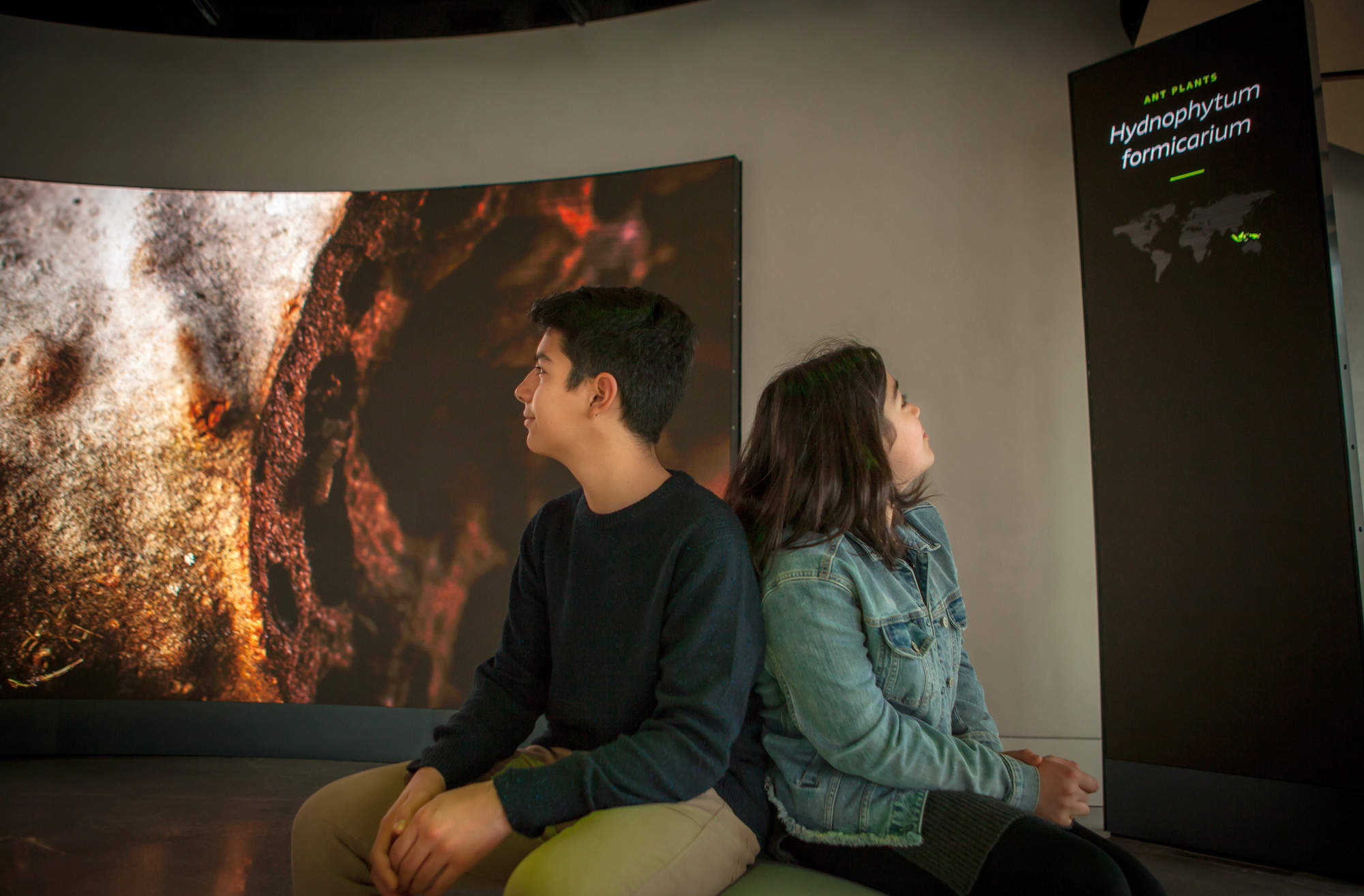 美国西雅图亚马逊总部Understory展厅 / Graham Baba Architects