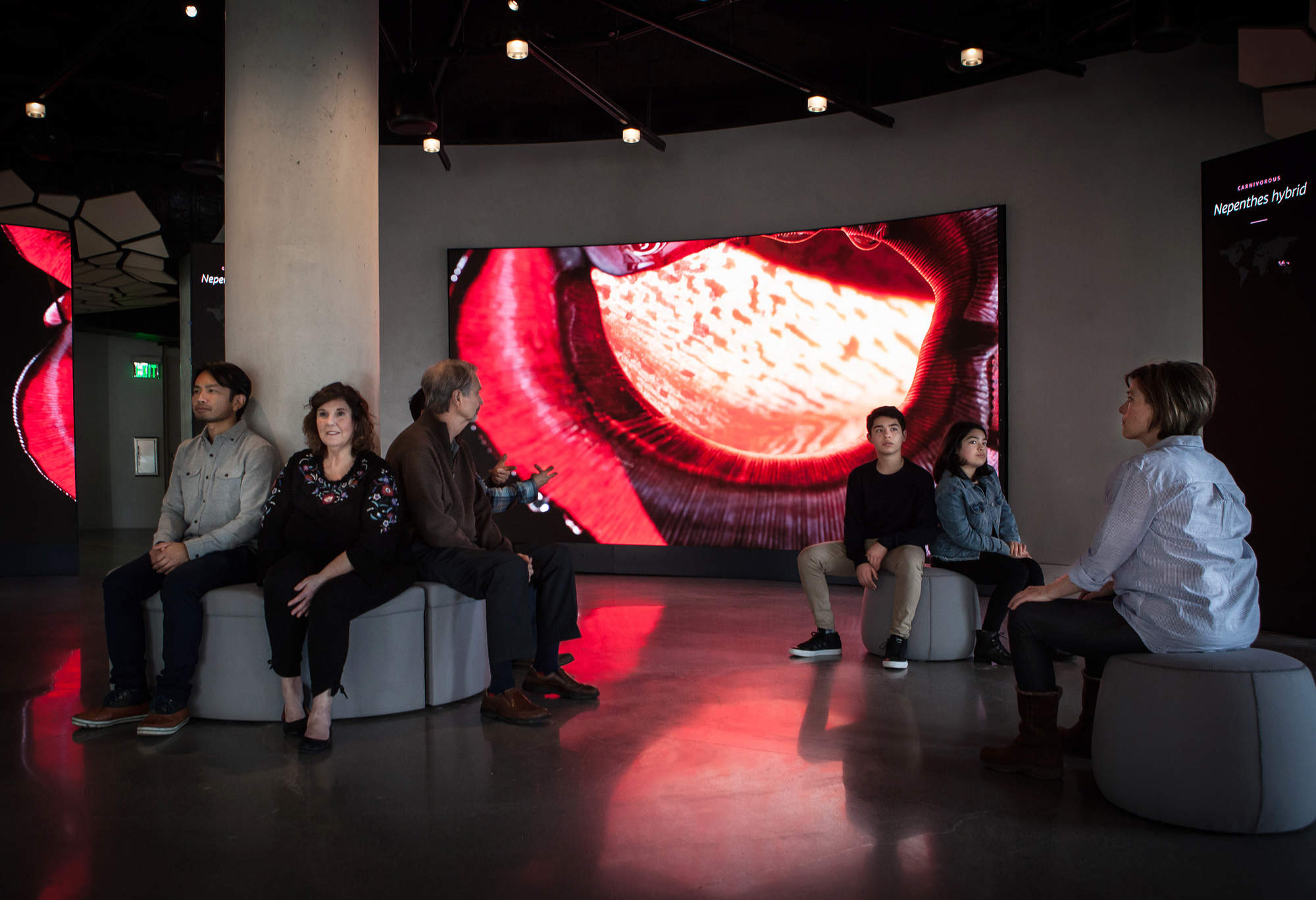 美国西雅图亚马逊总部Understory展厅 / Graham Baba Architects