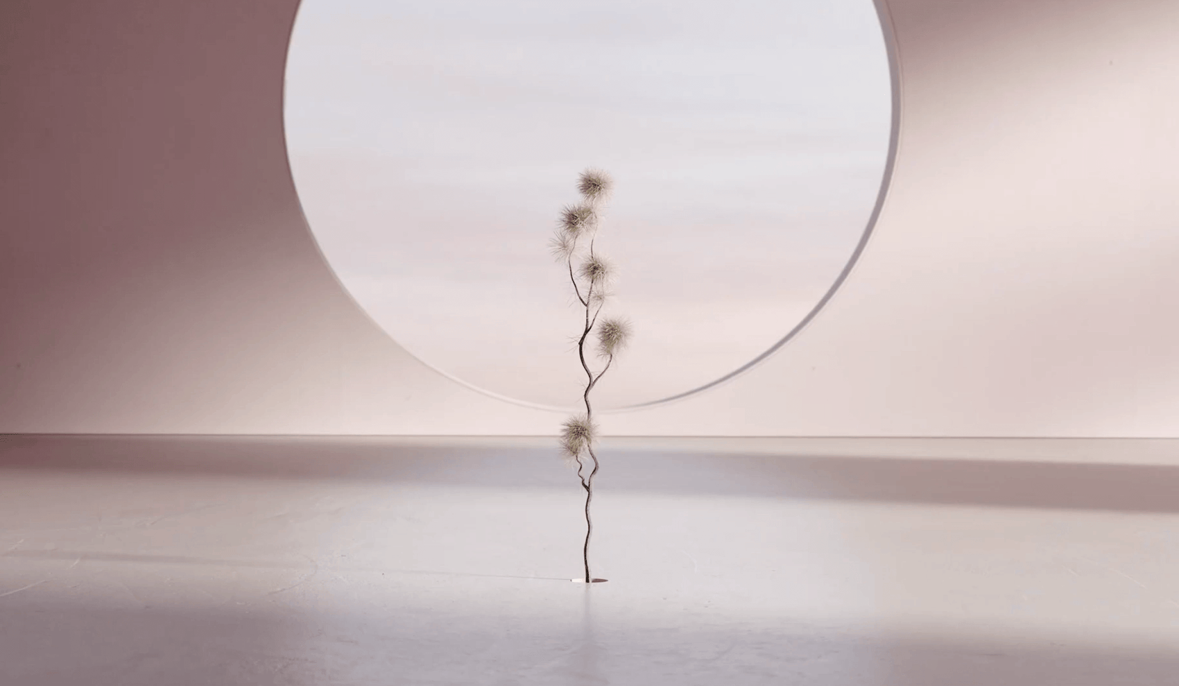 奥迪亮相2022迈阿密设计展：沉浸式体验数字艺术领域