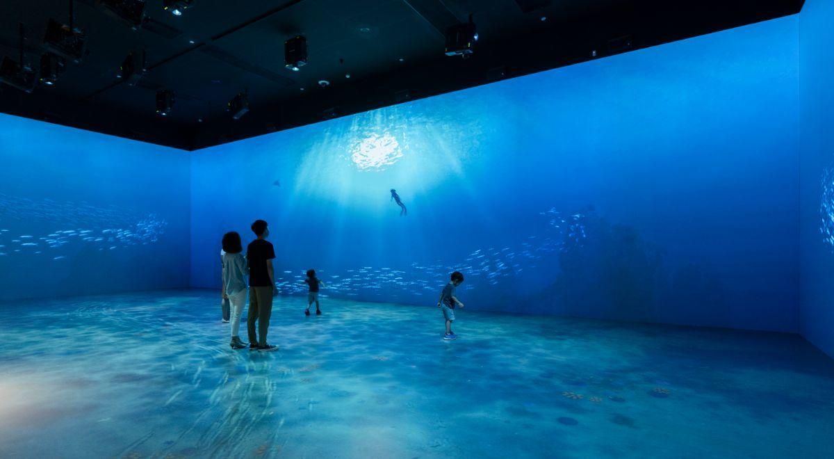 深圳市当代艺术与城市规划展览馆 / 蓝天组Coop Himmelb(l)au、ATELIER BRÜCKNER GMBH