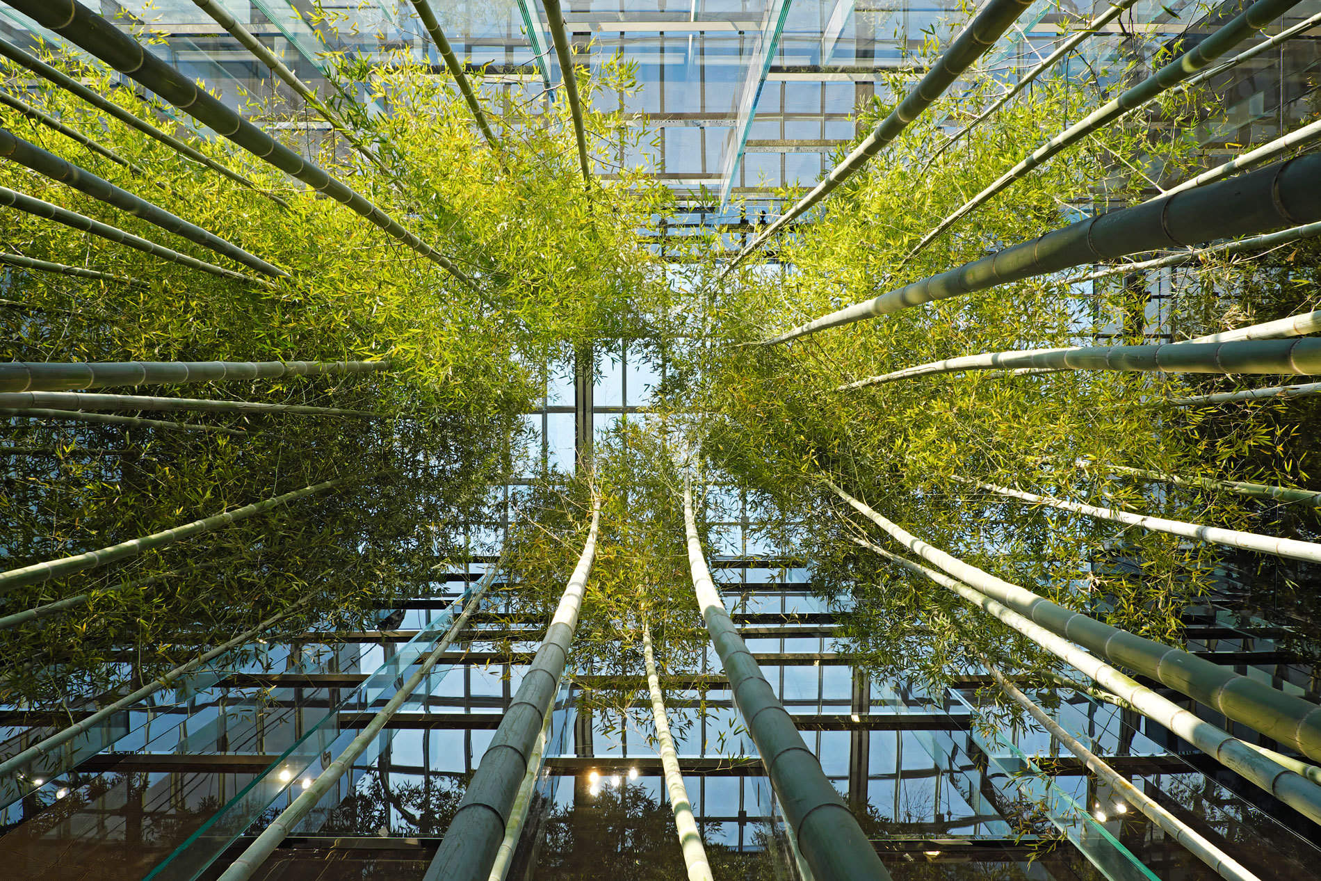 韩国高阳现代汽车文化中心 / ATELIER BRÜCKNER, Delugan Meissl Associated Architects