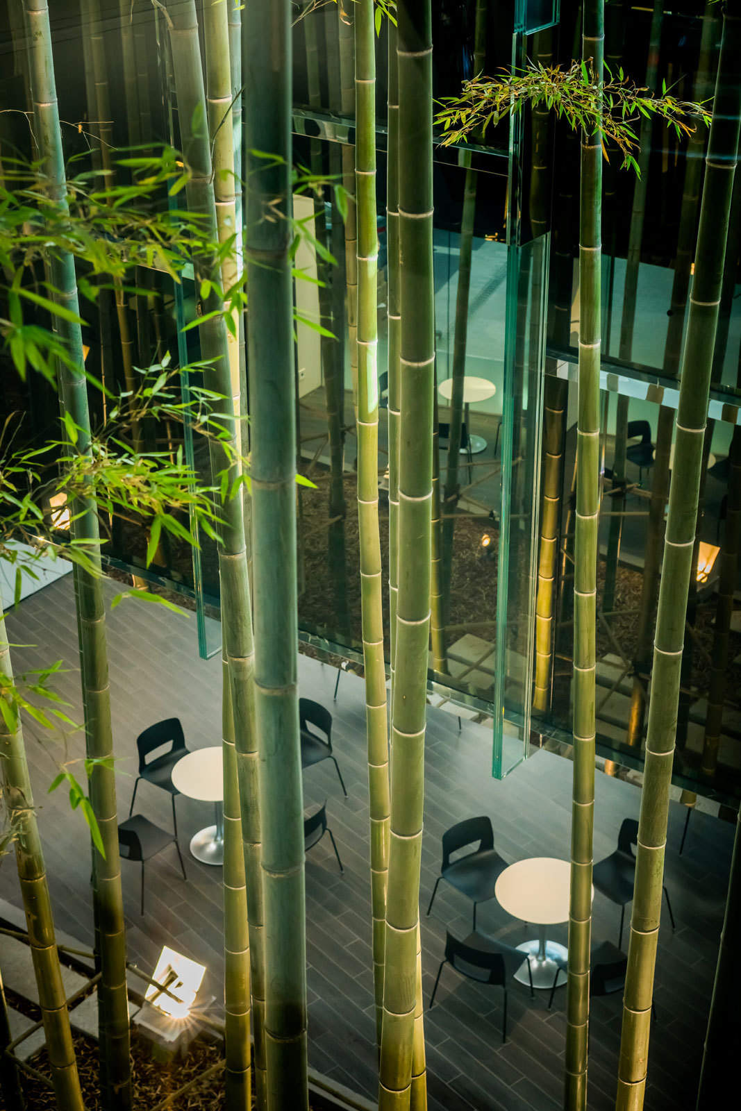 韩国高阳现代汽车文化中心 / ATELIER BRÜCKNER, Delugan Meissl Associated Architects