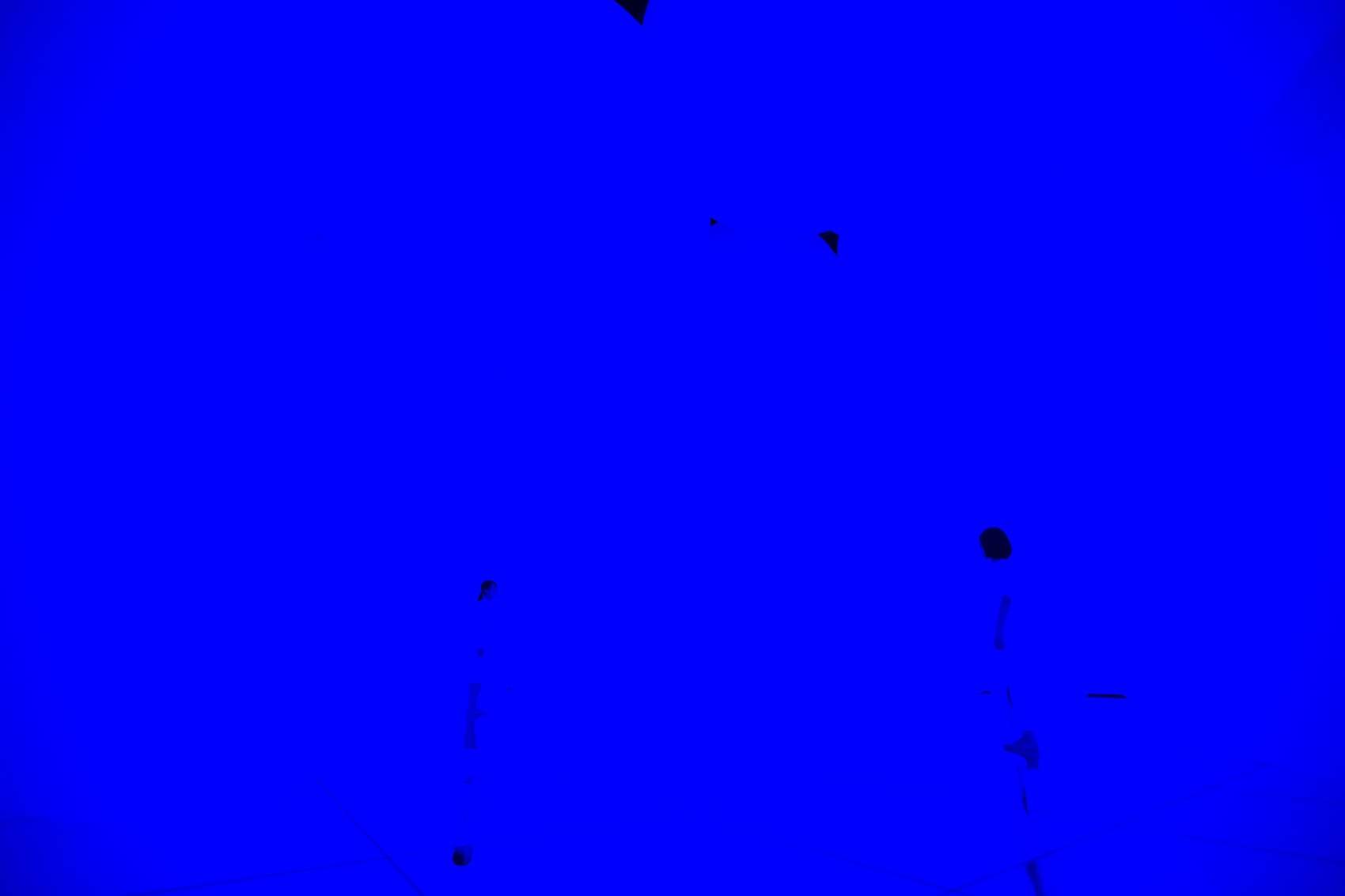 拥有自我意识的变化空间，扩张的立体存在 ── 被平面化的3种颜色与暧昧的9种色彩，自由飘浮 / 澳门teamLab★超自然空间