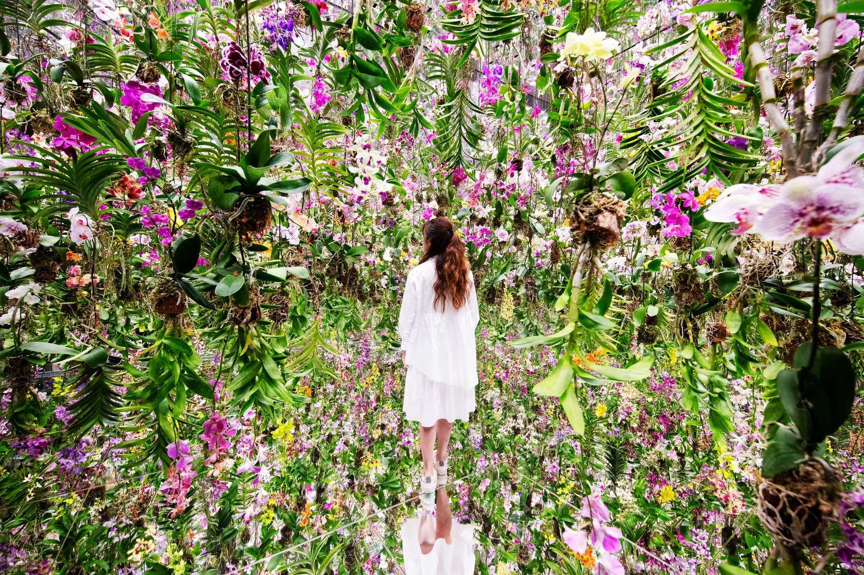 漂浮的花园——花朵与我同根同源，花园与我合为一体 / 澳门teamLab★超自然空间