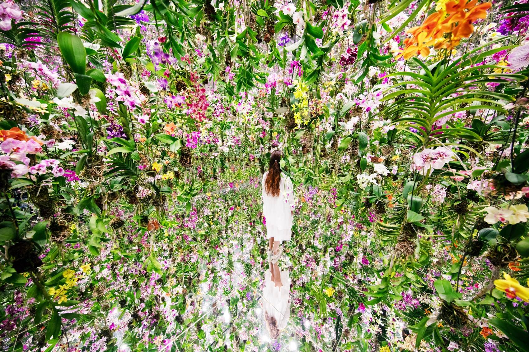 漂浮的花园——花朵与我同根同源，花园与我合为一体 / 澳门teamLab★超自然空间