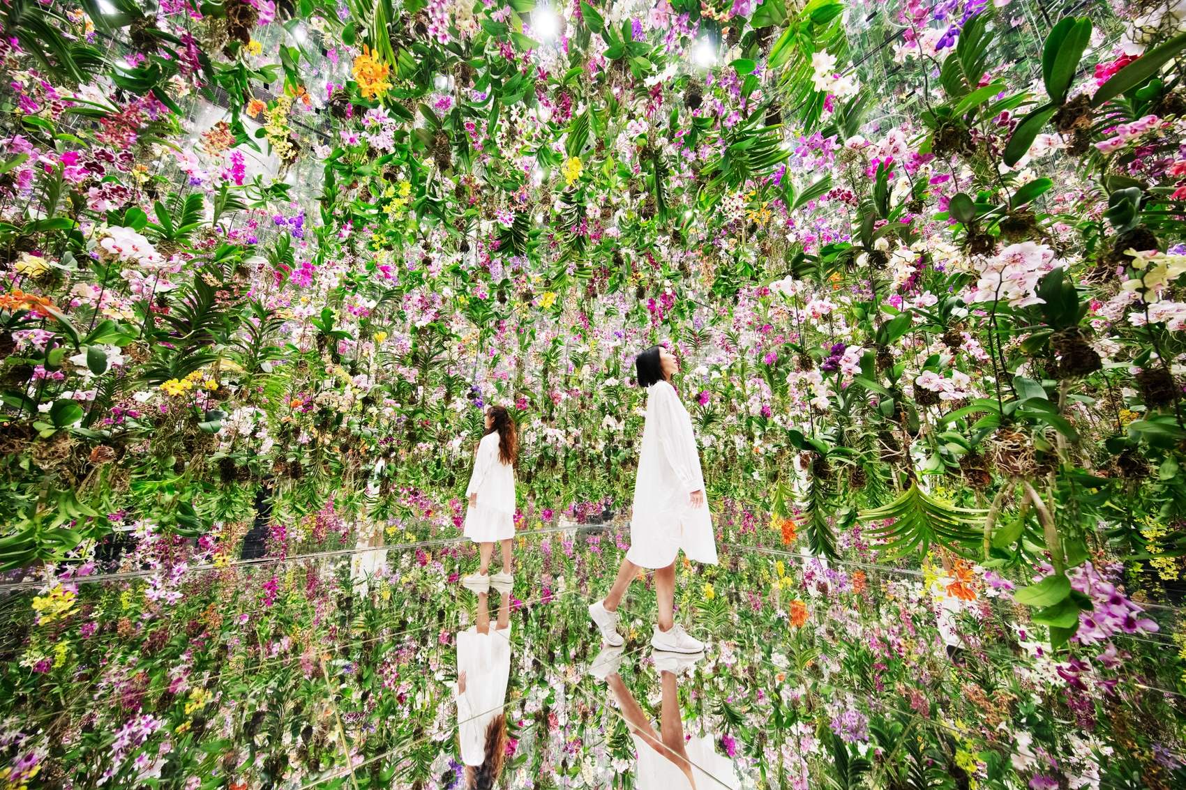 漂浮的花园——花朵与我同根同源，花园与我合为一体 / 澳门teamLab★超自然空间