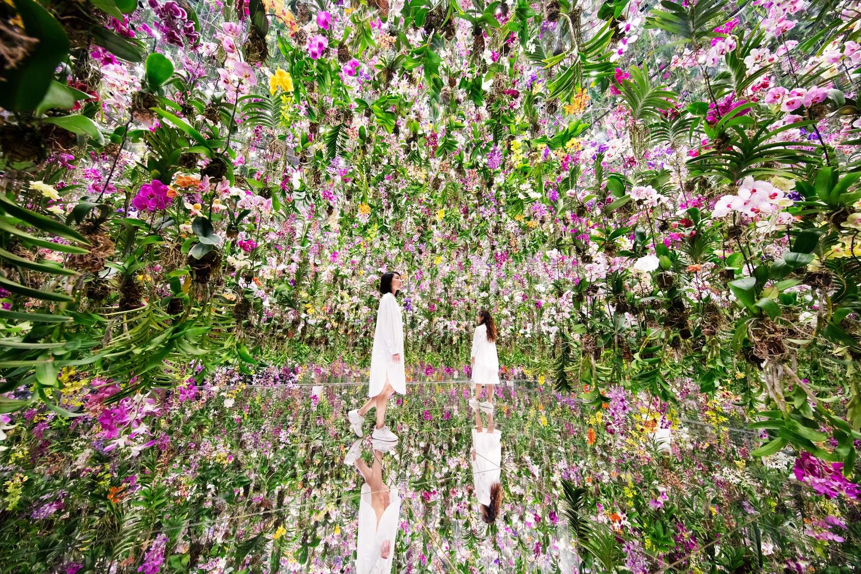漂浮的花园——花朵与我同根同源，花园与我合为一体 / 澳门teamLab★超自然空间