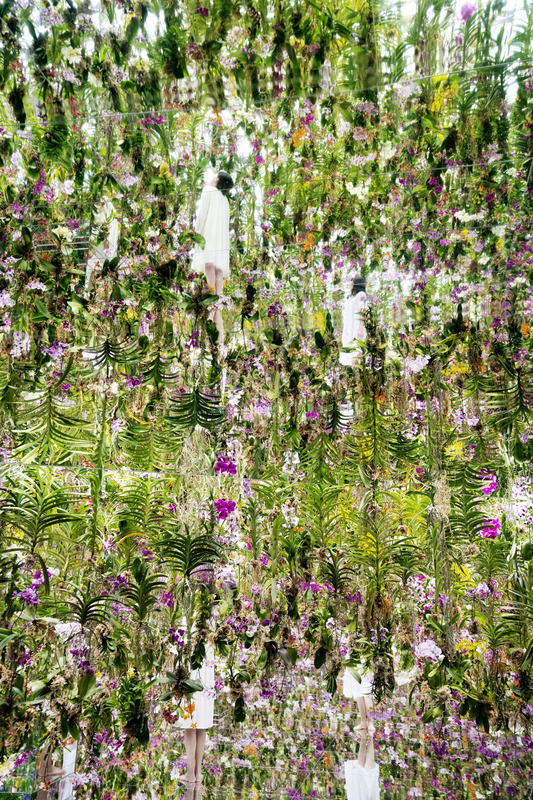 漂浮的花园——花朵与我同根同源，花园与我合为一体 / 澳门teamLab★超自然空间