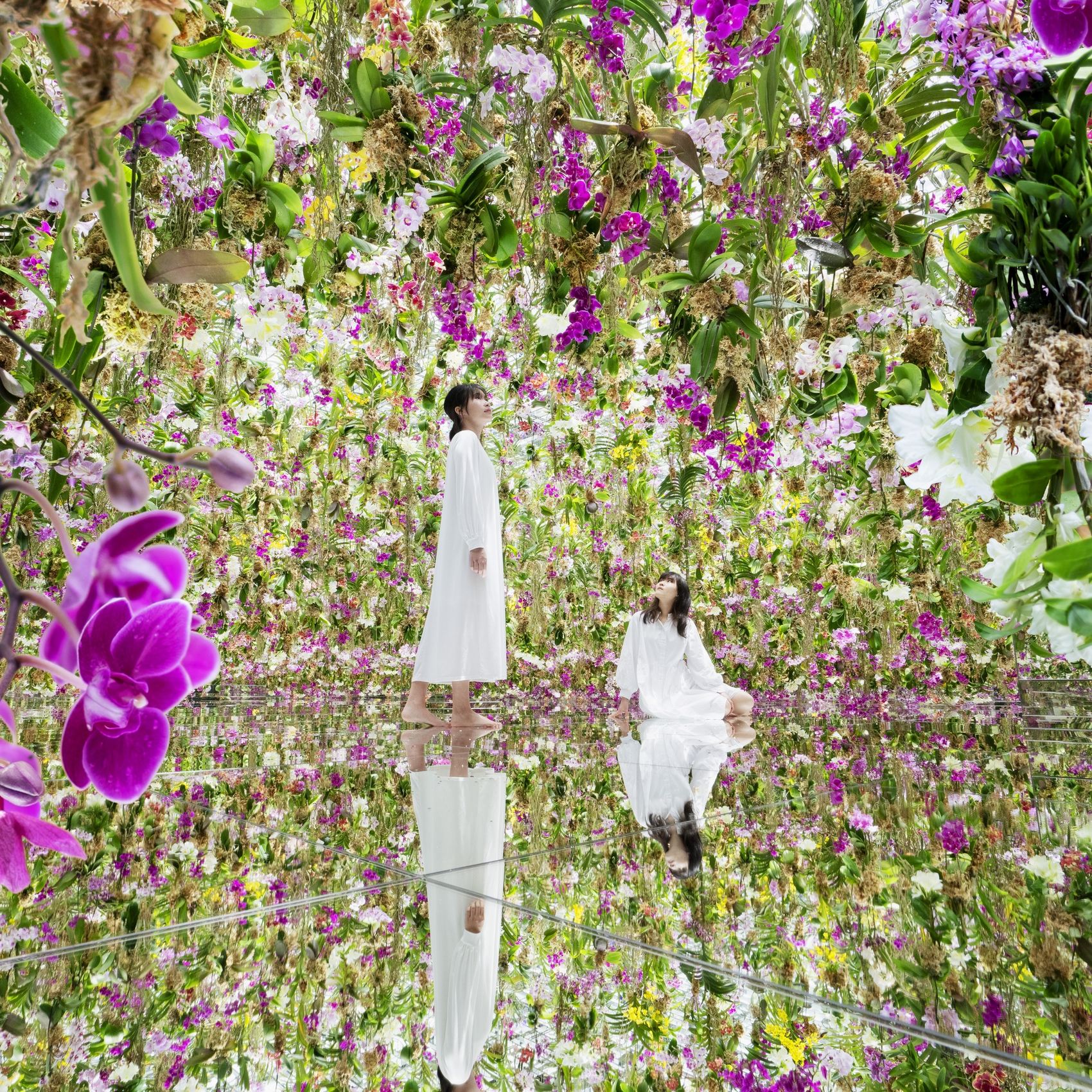 漂浮的花园——花朵与我同根同源，花园与我合为一体 / 澳门teamLab★超自然空间