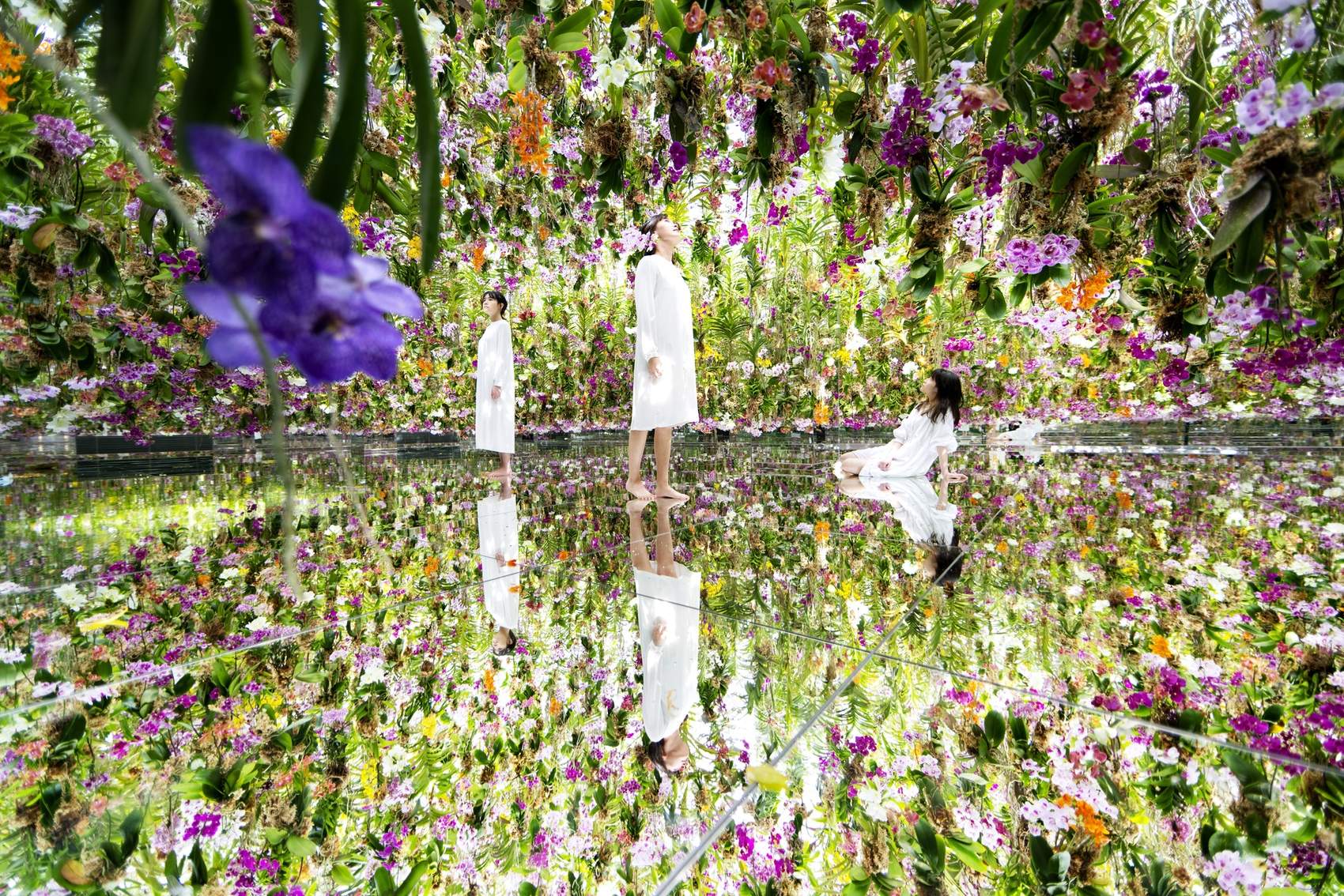 漂浮的花园——花朵与我同根同源，花园与我合为一体 / 澳门teamLab★超自然空间