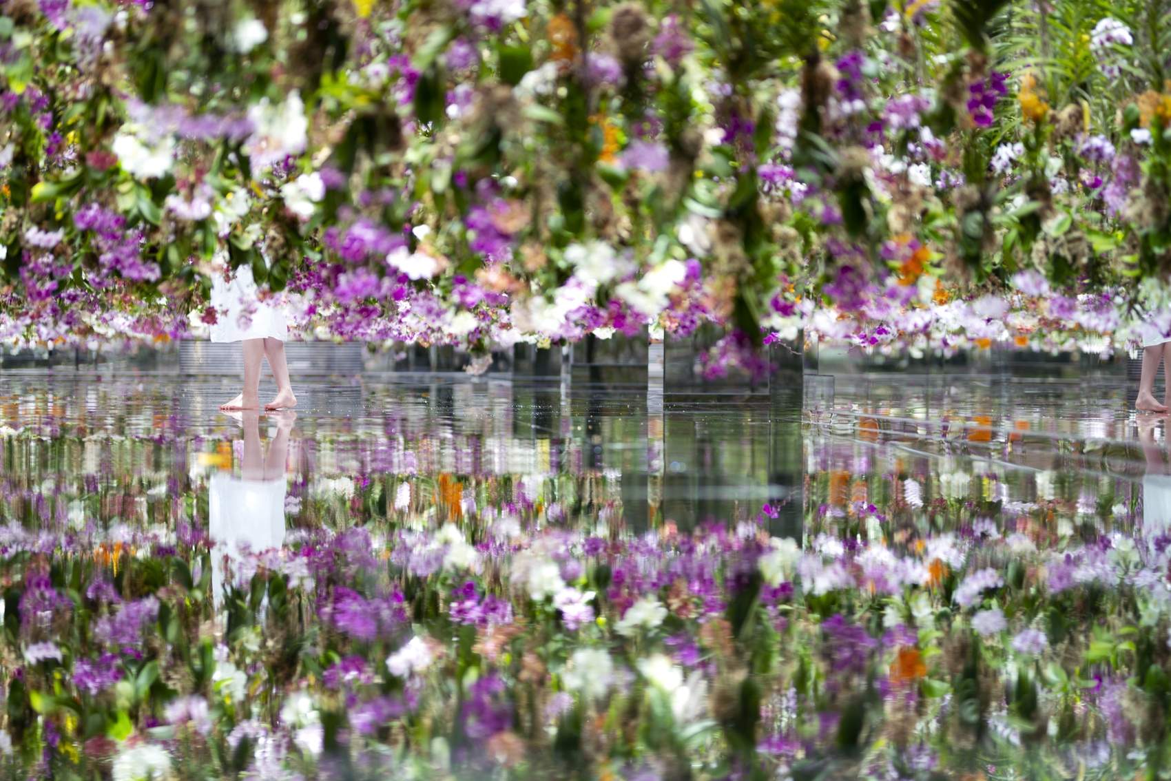 漂浮的花园——花朵与我同根同源，花园与我合为一体 / 澳门teamLab★超自然空间