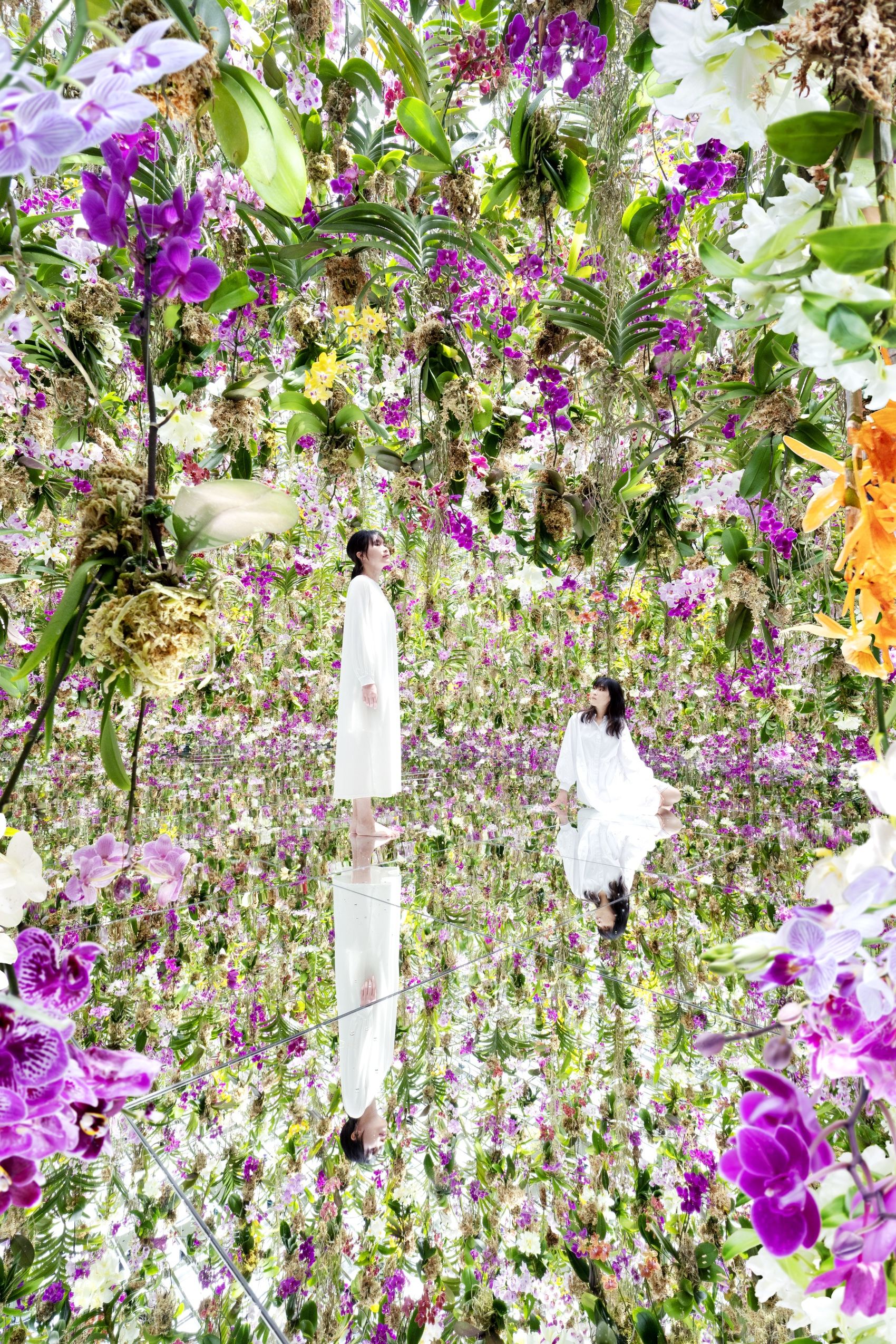 漂浮的花园——花朵与我同根同源，花园与我合为一体 / 澳门teamLab★超自然空间