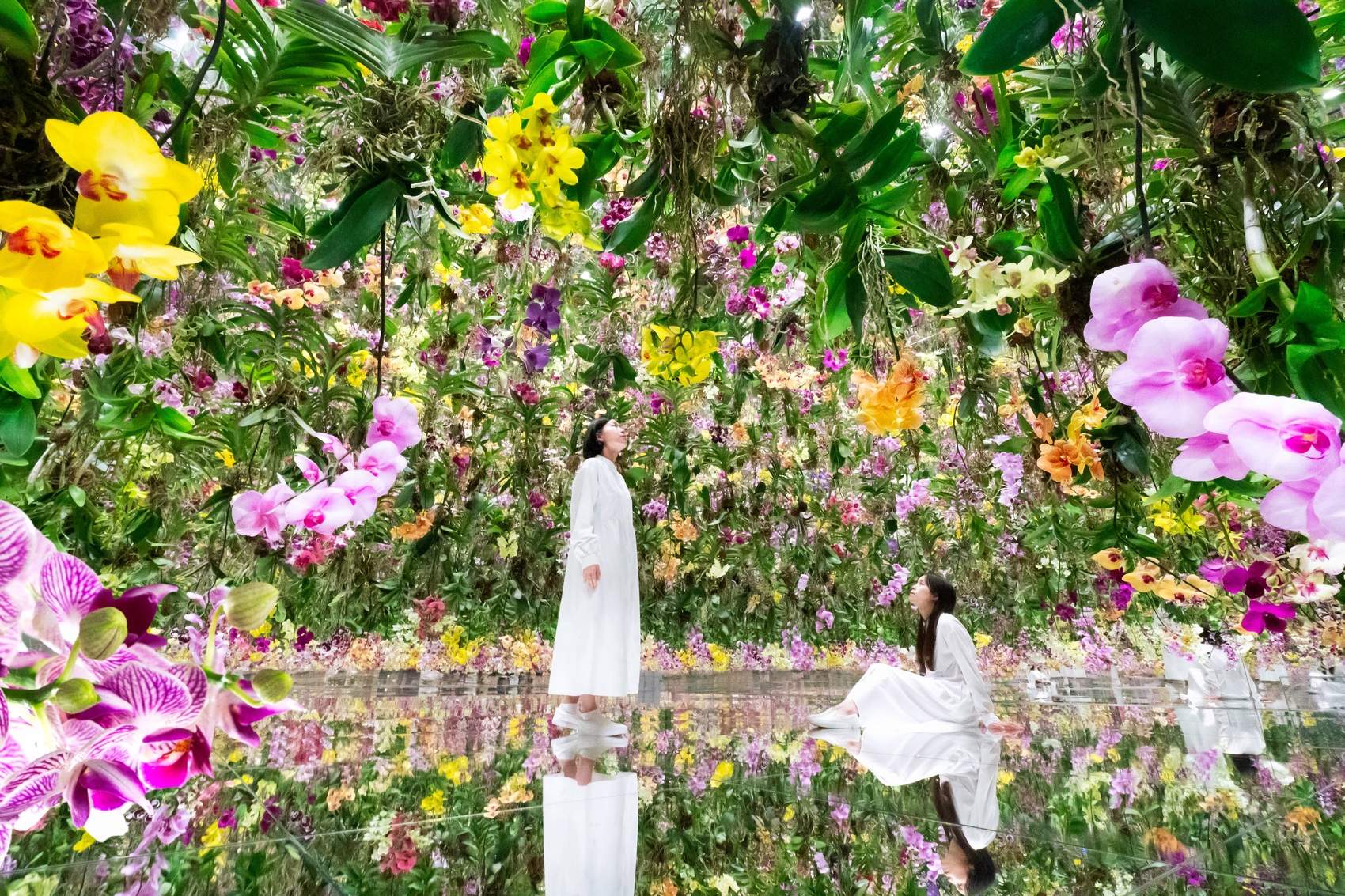 漂浮的花园——花朵与我同根同源，花园与我合为一体 / 澳门teamLab★超自然空间