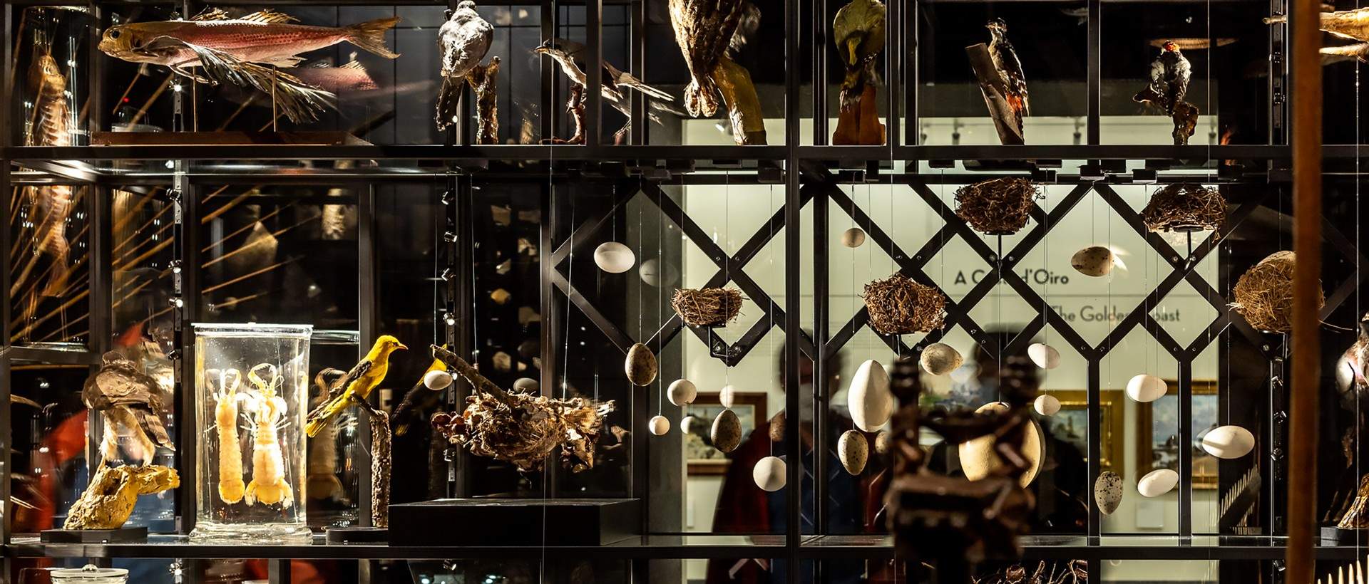 拉各斯 若泽福莫西尼奥博士博物馆——对20世纪30年代创建的博物馆进行改建 / P06 studio