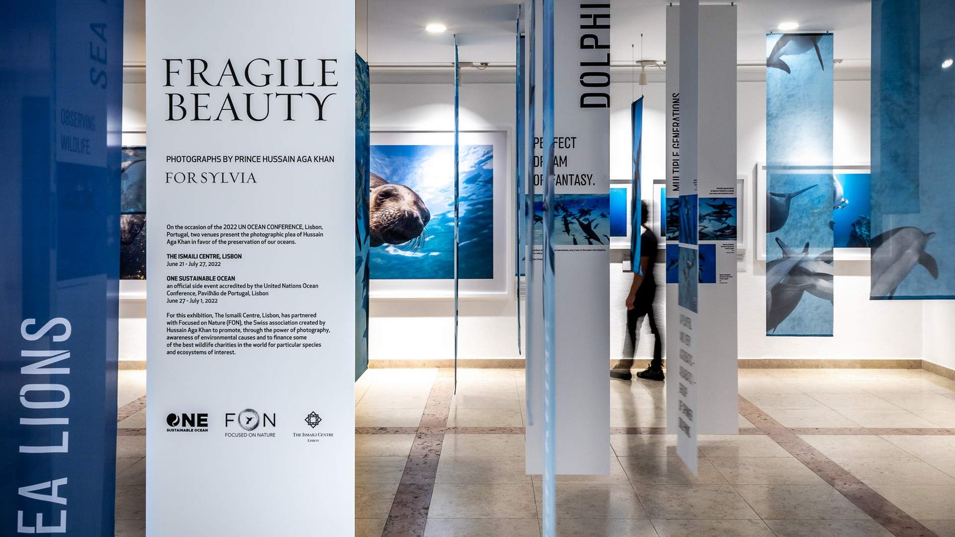 脆弱的美丽——展示侯赛因·阿迦汗水下摄影作品的“海带森林” / P 06 studio