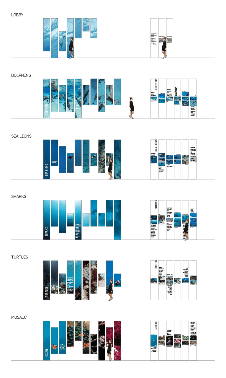 脆弱的美丽——展示侯赛因·阿迦汗水下摄影作品的“海带森林” / P 06 studio