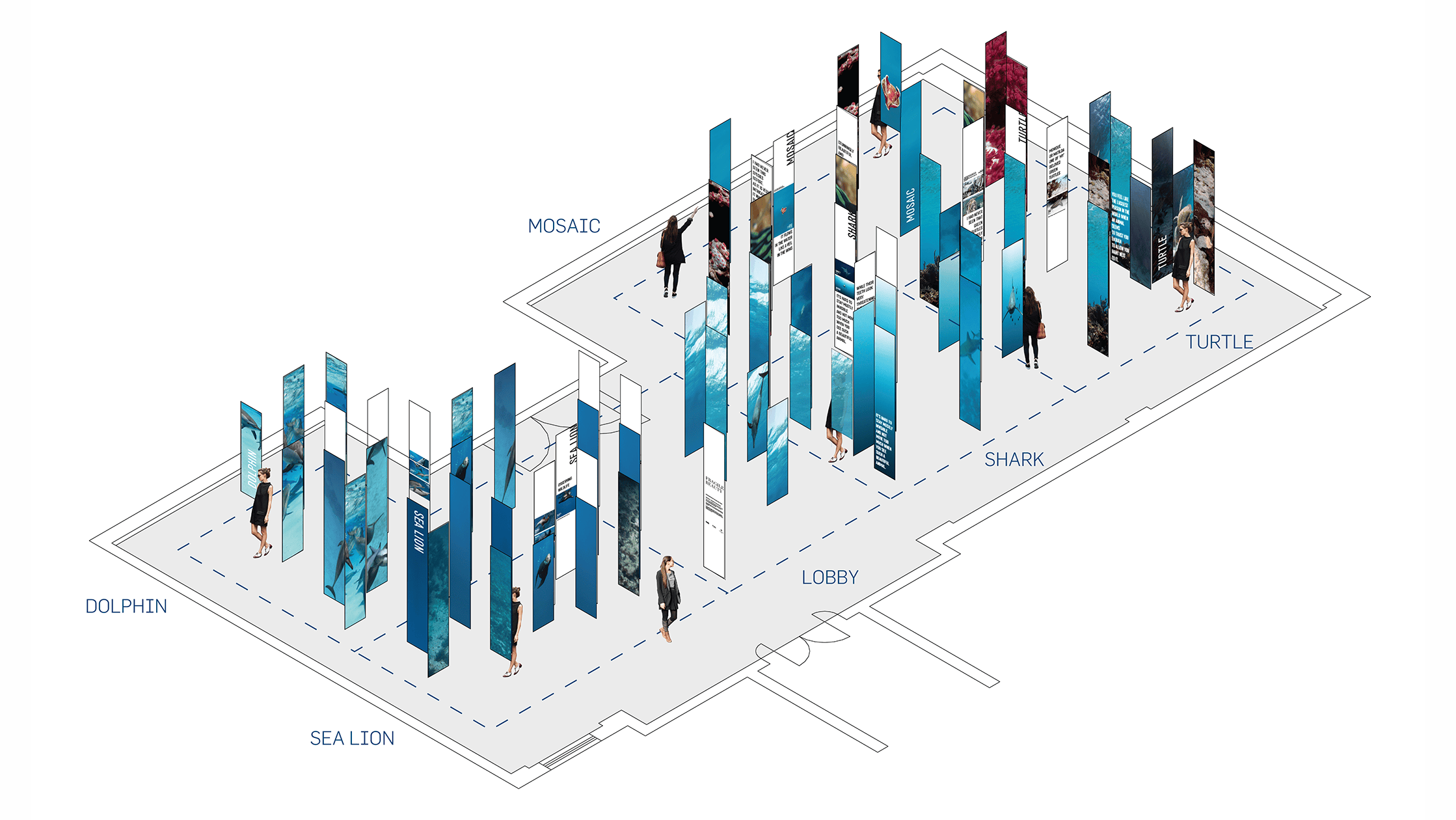 脆弱的美丽——展示侯赛因·阿迦汗水下摄影作品的“海带森林” / P 06 studio