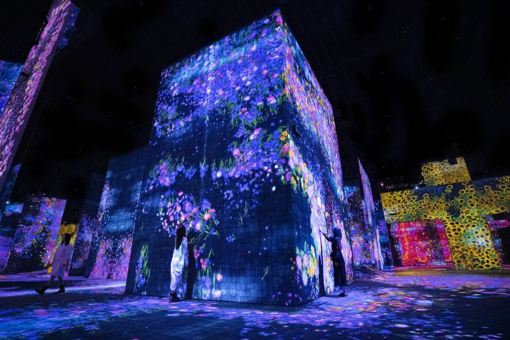 花与人的洼谷：迷失、沉浸与重生 / 澳门teamLab★超自然空间