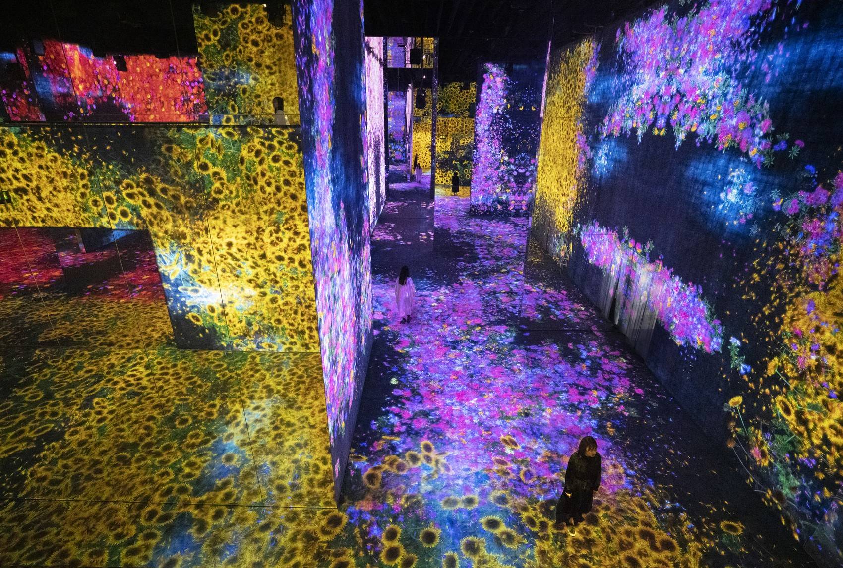 花与人的洼谷：迷失、沉浸与重生 / 澳门teamLab★超自然空间