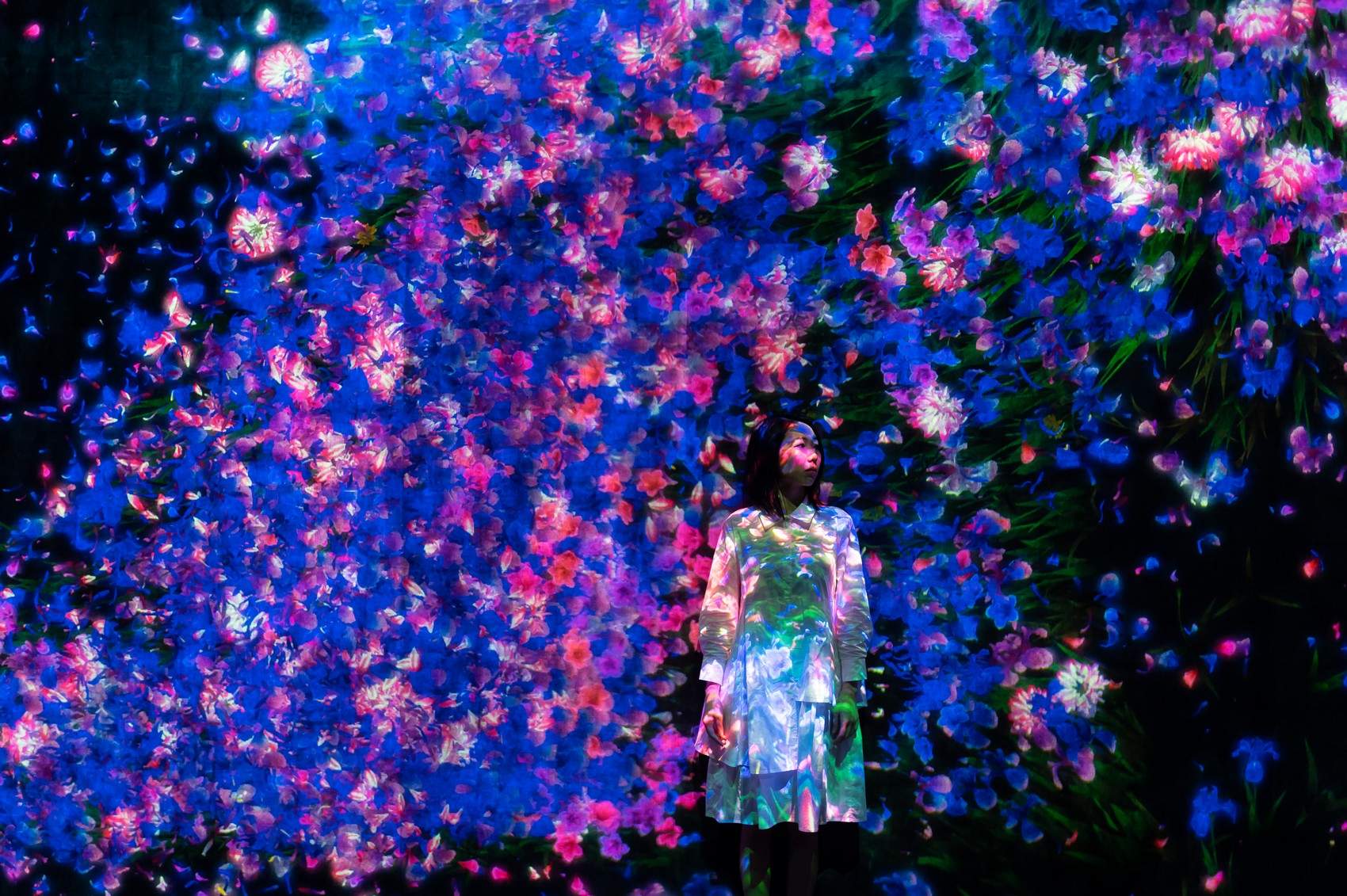 花与人的洼谷：迷失、沉浸与重生 / 澳门teamLab★超自然空间