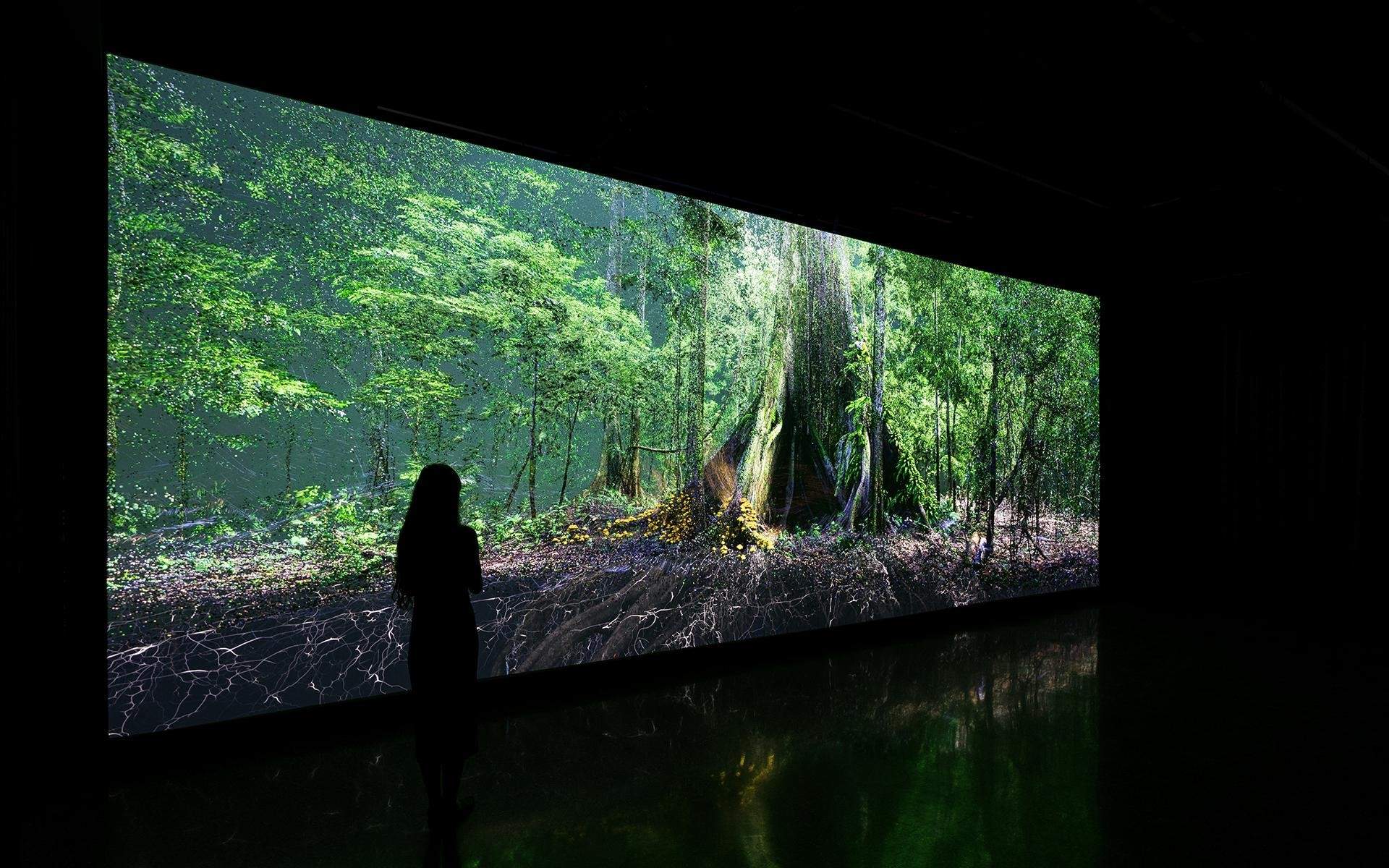 ATELIER BRÜCKNER × 四大极具影响力作品｜叙事与空间设计的极致融合