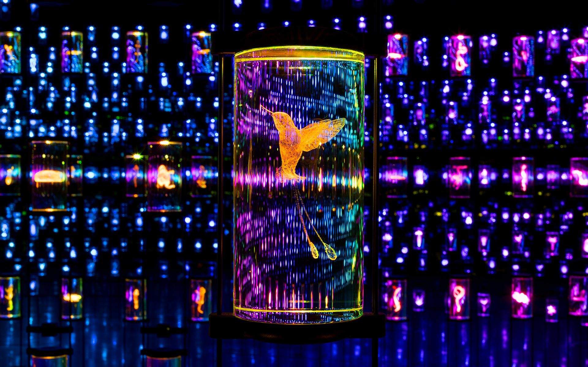 ATELIER BRÜCKNER × 四大极具影响力作品｜叙事与空间设计的极致融合