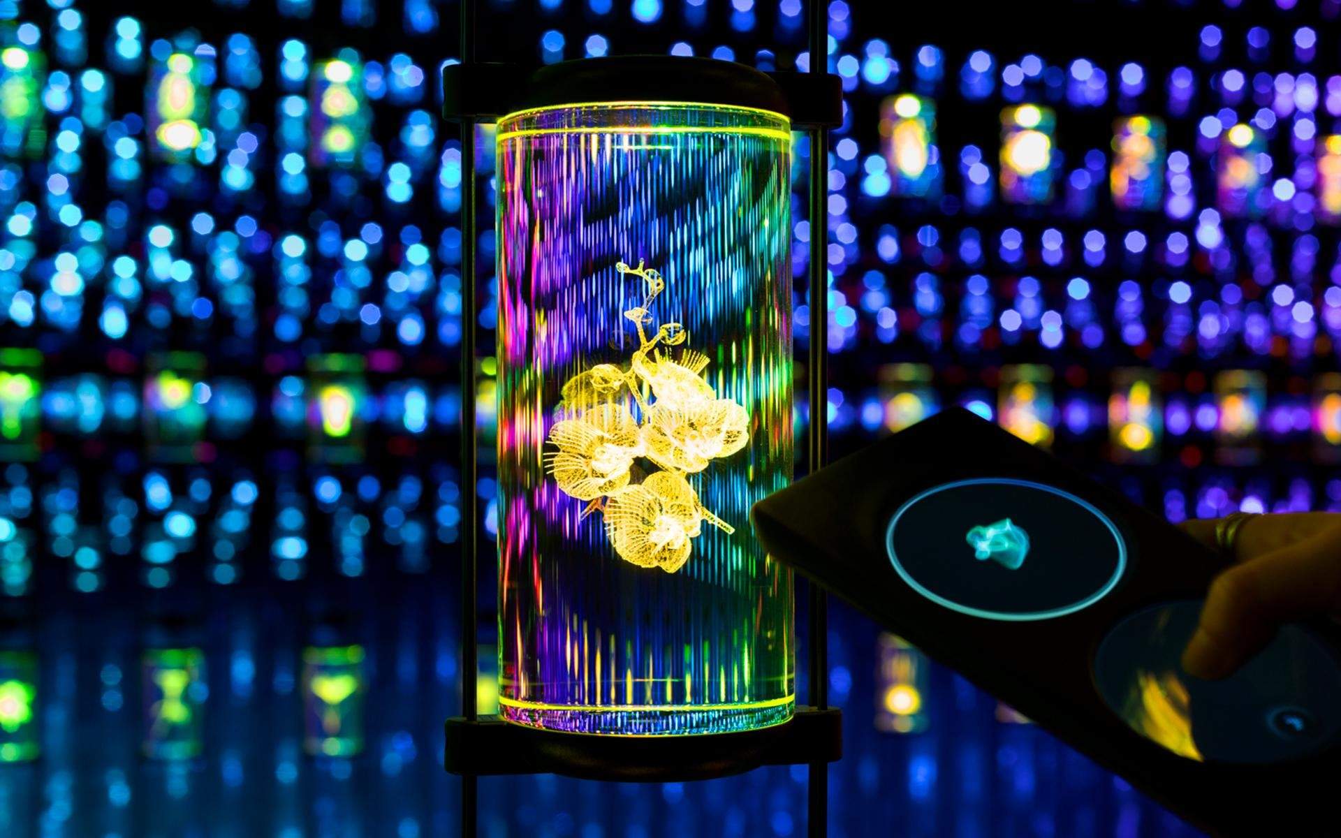 ATELIER BRÜCKNER × 四大极具影响力作品｜叙事与空间设计的极致融合