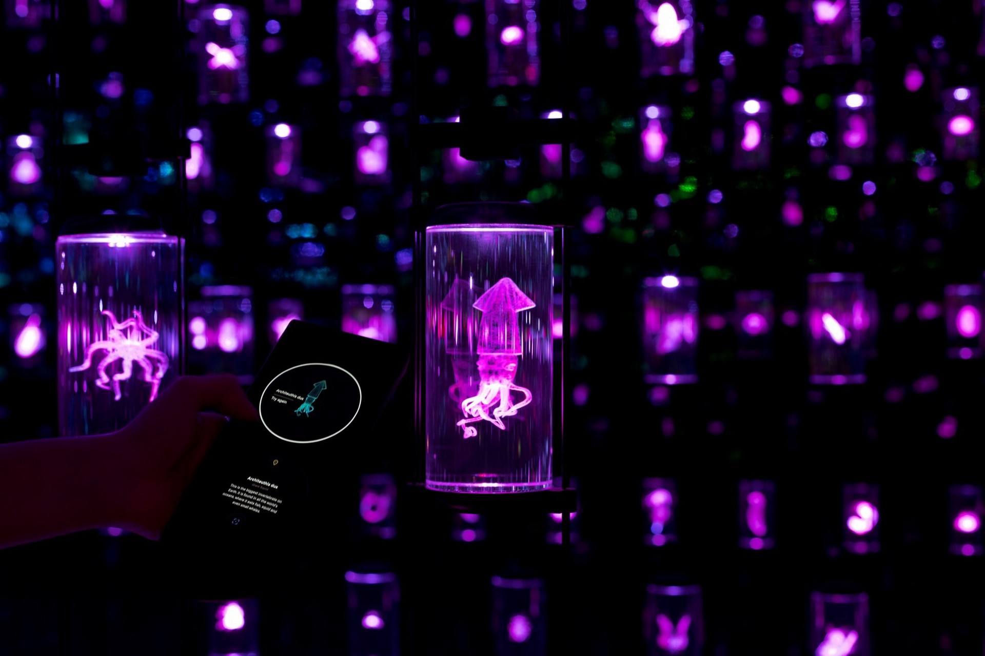 ATELIER BRÜCKNER × 四大极具影响力作品｜叙事与空间设计的极致融合