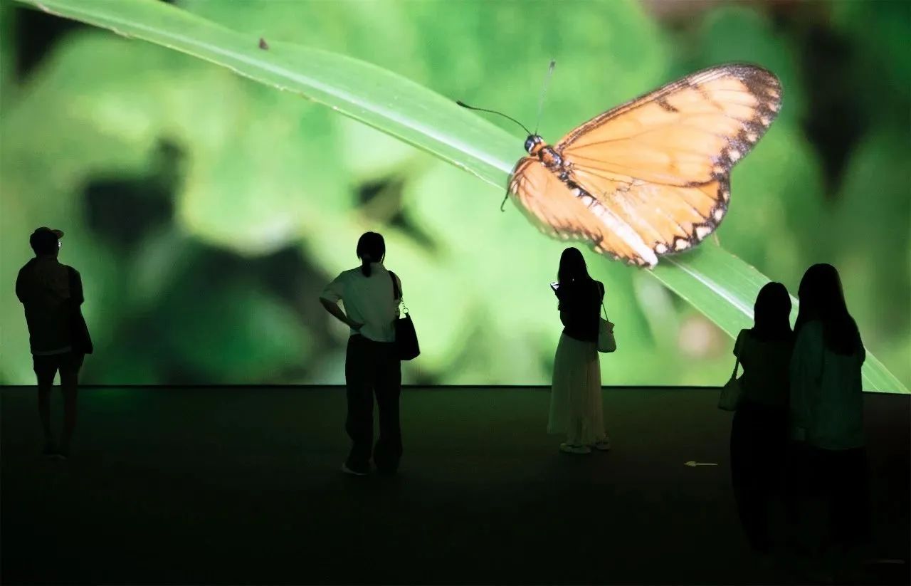 青山无尽——绿美广东新媒体创作展 / 广东美术馆新馆 × 千核GeeksArt