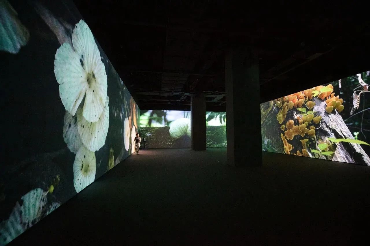 青山无尽——绿美广东新媒体创作展 / 广东美术馆新馆 × 千核GeeksArt