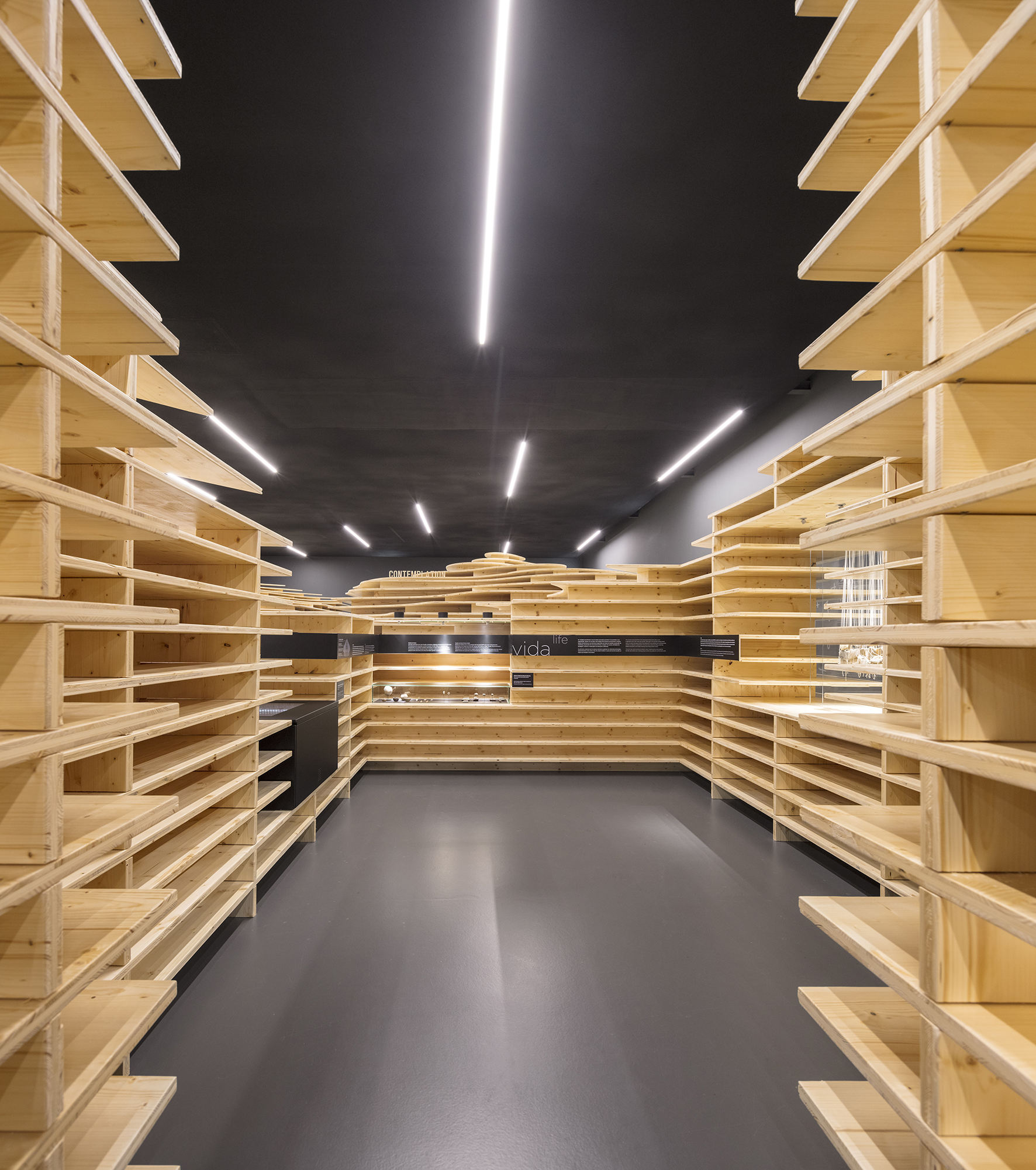 葡萄牙 莫拉巨石博物馆——以1:1实景模型作为展览结构​​ / P 06 studio