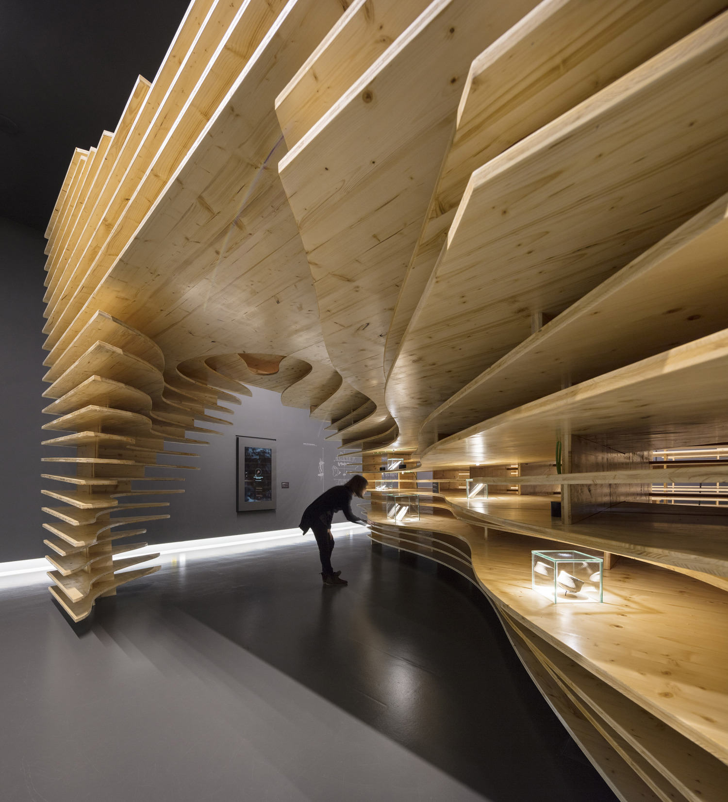 葡萄牙 莫拉巨石博物馆——以1:1实景模型作为展览结构​​ / P 06 studio