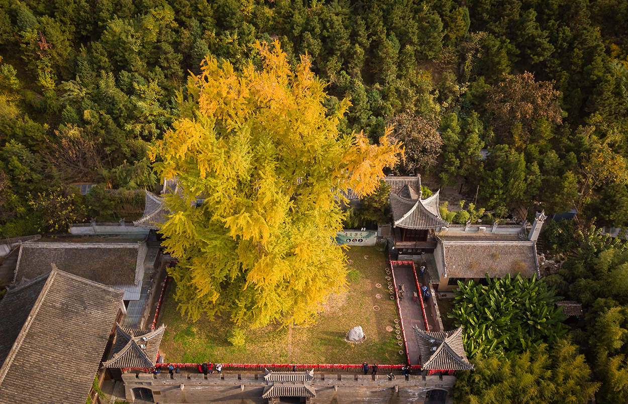 ZEEKR极氪中心·西安南湖金座店 - 在现代空间中体现古城魅力 / MOC DESIGN