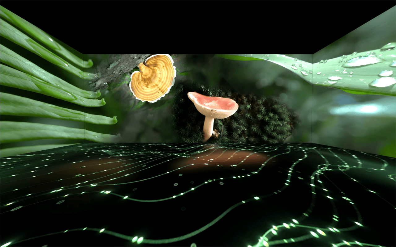 青山无尽——绿美广东新媒体创作展 / 广东美术馆新馆 × 千核GeeksArt