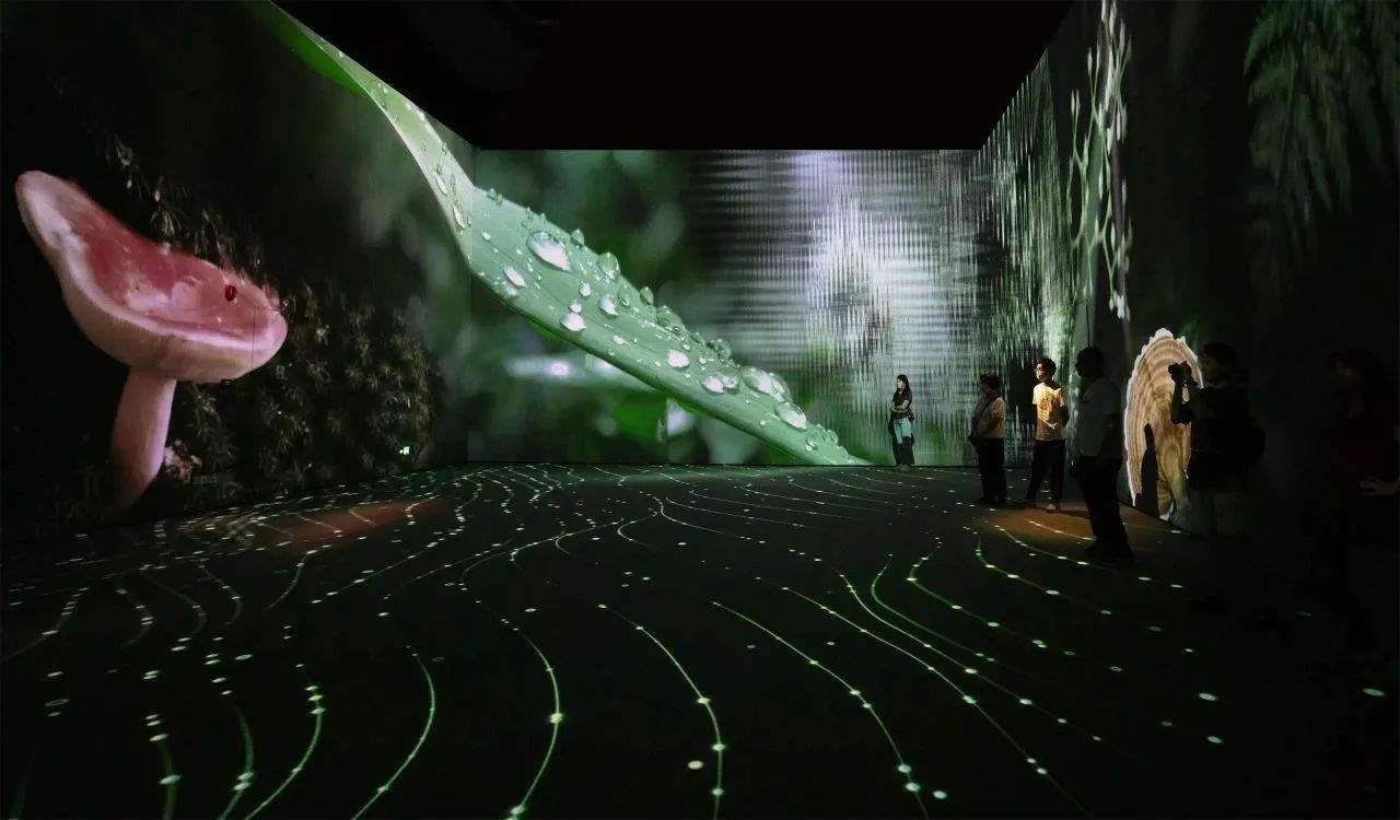 青山无尽——绿美广东新媒体创作展 / 广东美术馆新馆 × 千核GeeksArt