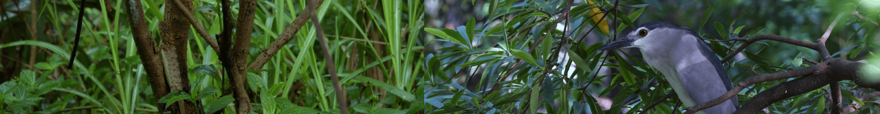 青山无尽——绿美广东新媒体创作展 / 广东美术馆新馆 × 千核GeeksArt