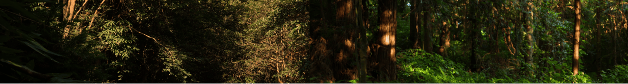 青山无尽——绿美广东新媒体创作展 / 广东美术馆新馆 × 千核GeeksArt