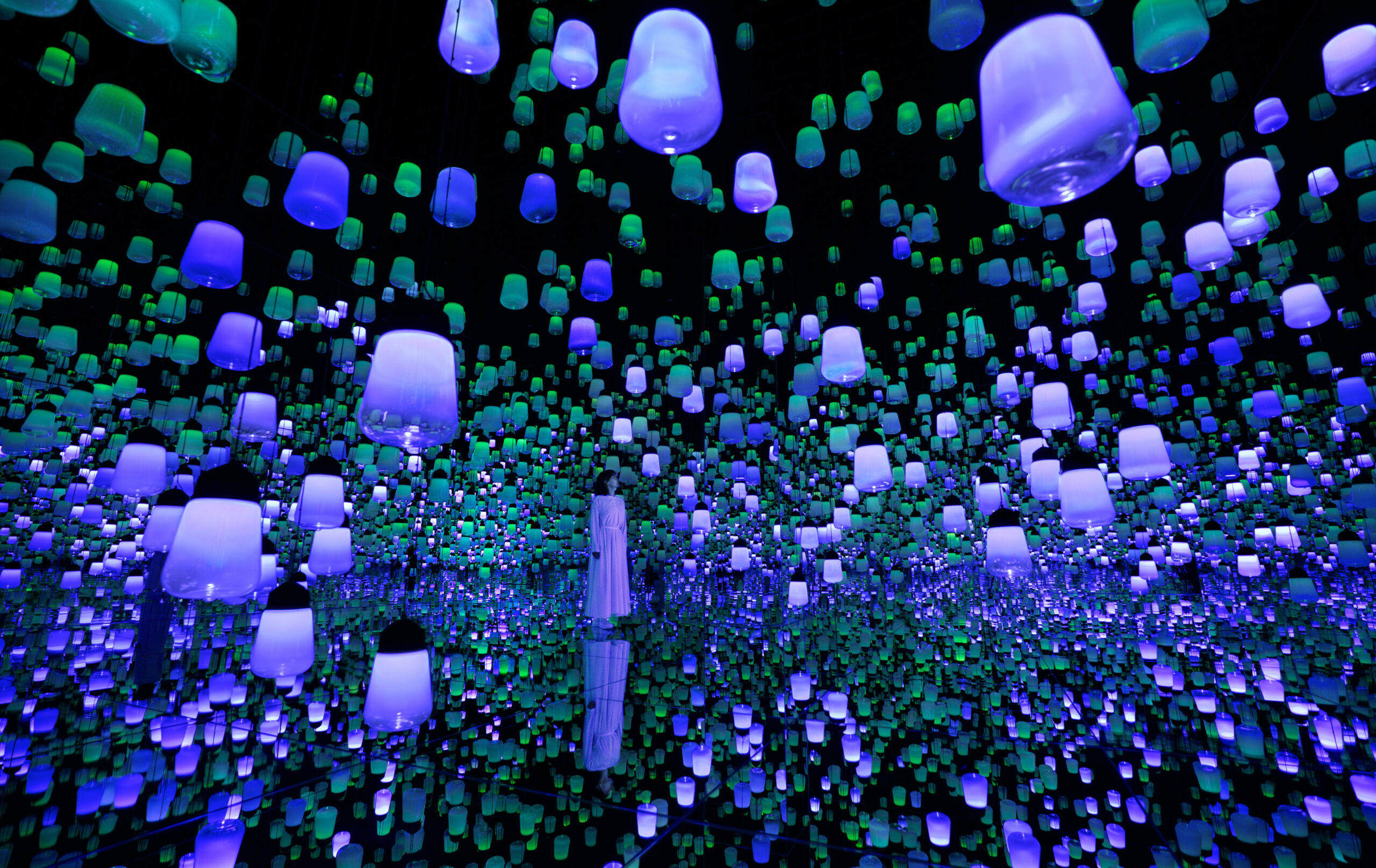 teamLab × 京都新馆开幕｜首批6件作品带你穿越自然与数字的边界