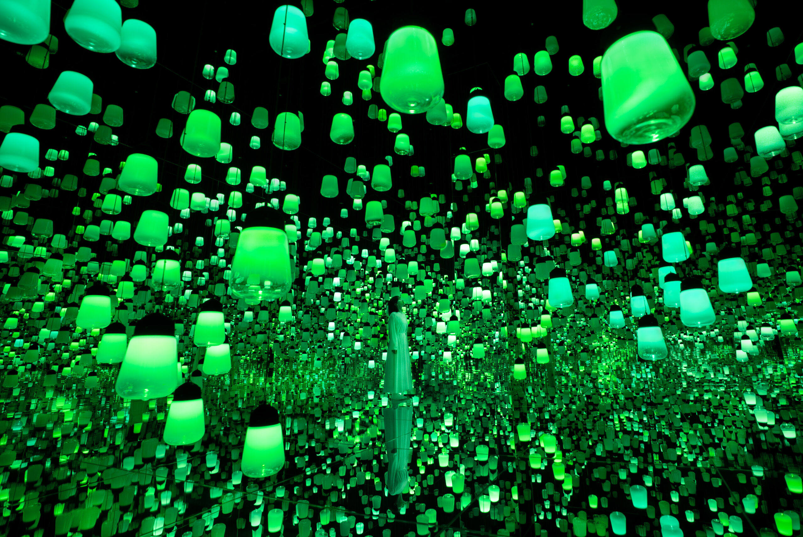 teamLab × 京都新馆开幕｜首批6件作品带你穿越自然与数字的边界