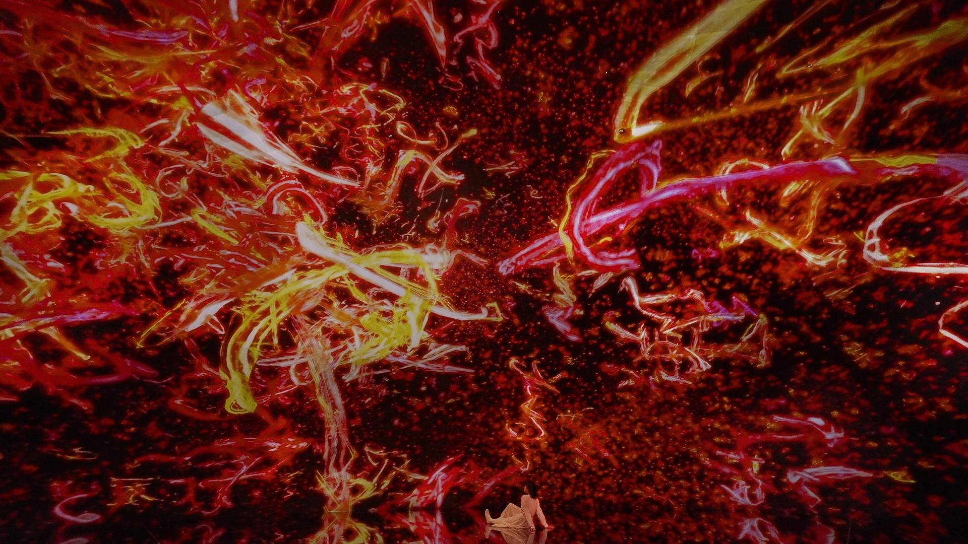 teamLab × 京都新馆开幕｜首批6件作品带你穿越自然与数字的边界