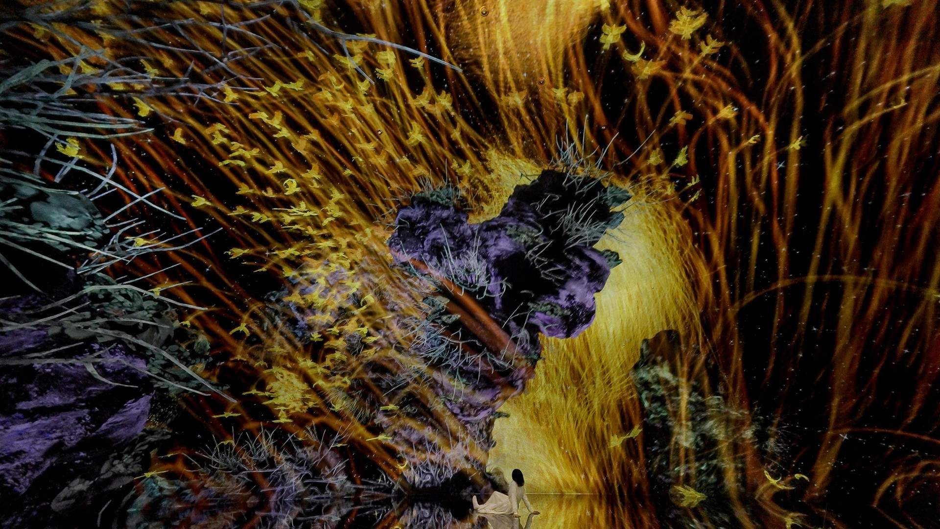 teamLab × 京都新馆开幕｜首批6件作品带你穿越自然与数字的边界