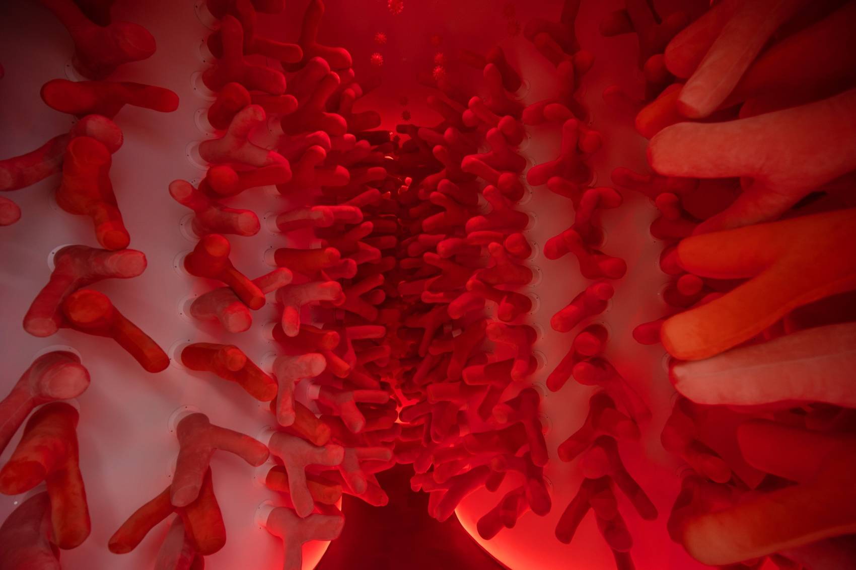 用情景体验构筑企业叙事：科兴企业展厅设计解读 / VAVESTUDIO