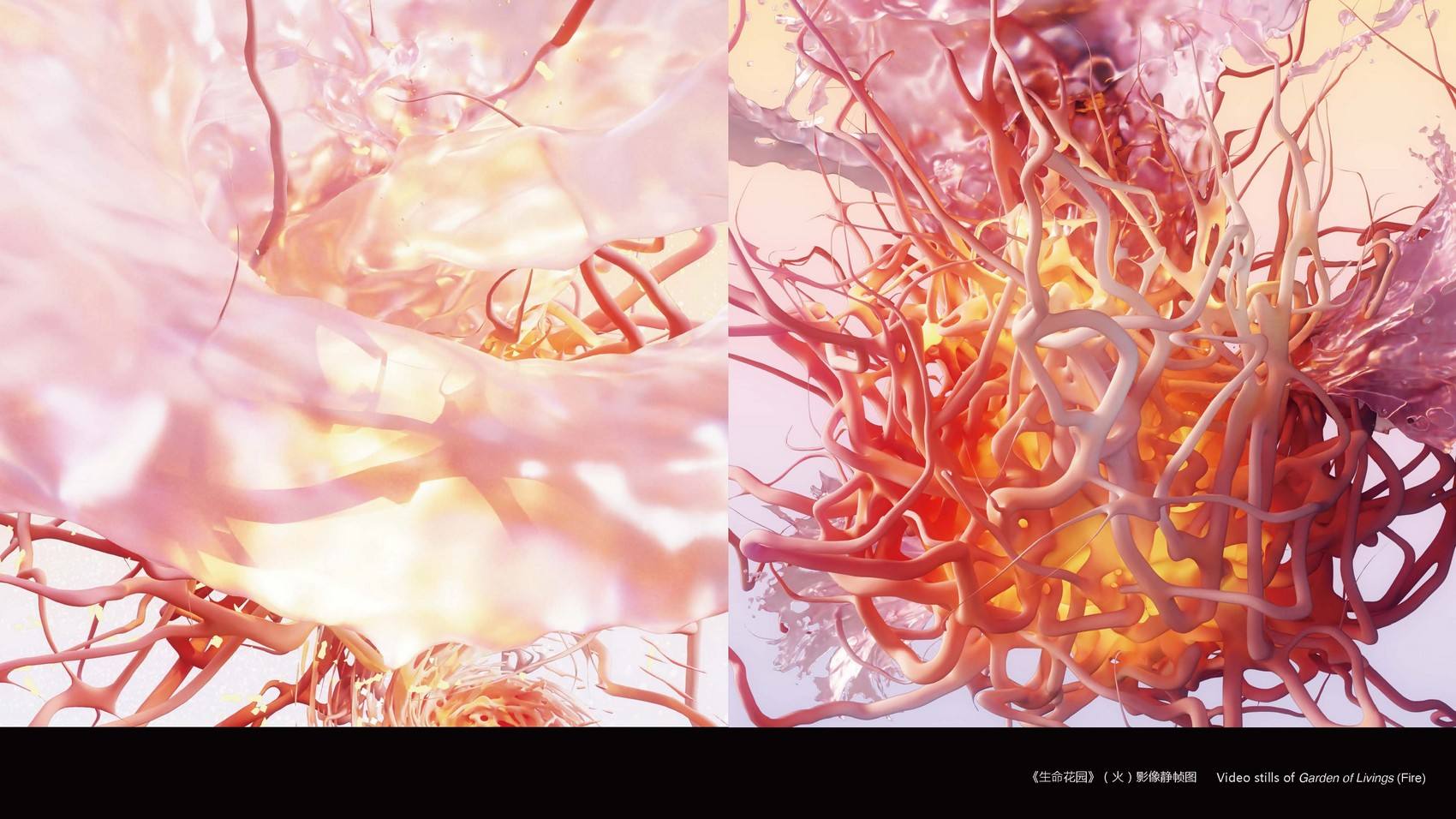 生命花园·芬芳季风 - cdf三亚国际免税城裸眼3D交互影像 / 某集体MOUJITI ART+TECH