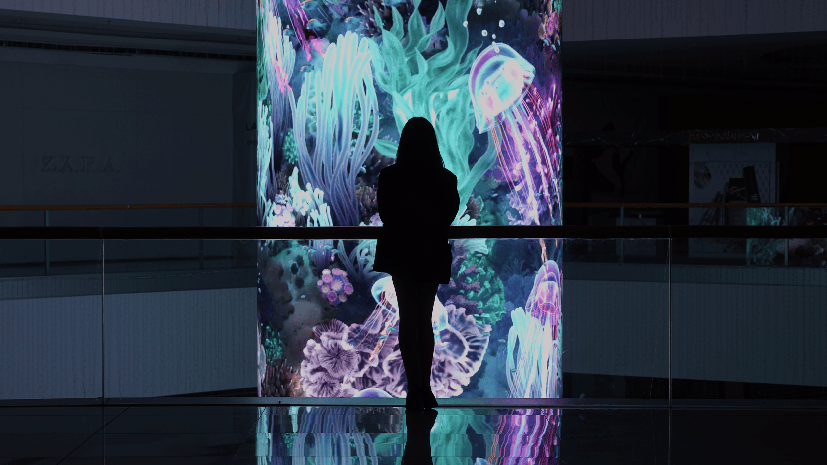 Wonders of the Sea海洋奇观：菲律宾水下世界数百万年后的生物演化与生态畅想 / Radugadesign