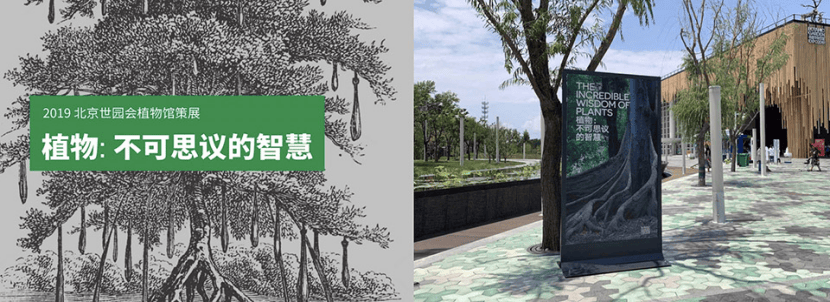 【北京】直径叙事设计 - 岗位同时向实习生开放 / 空间装置设计 / 叙事研究员 / 平面设计师 / 视觉媒体设计师